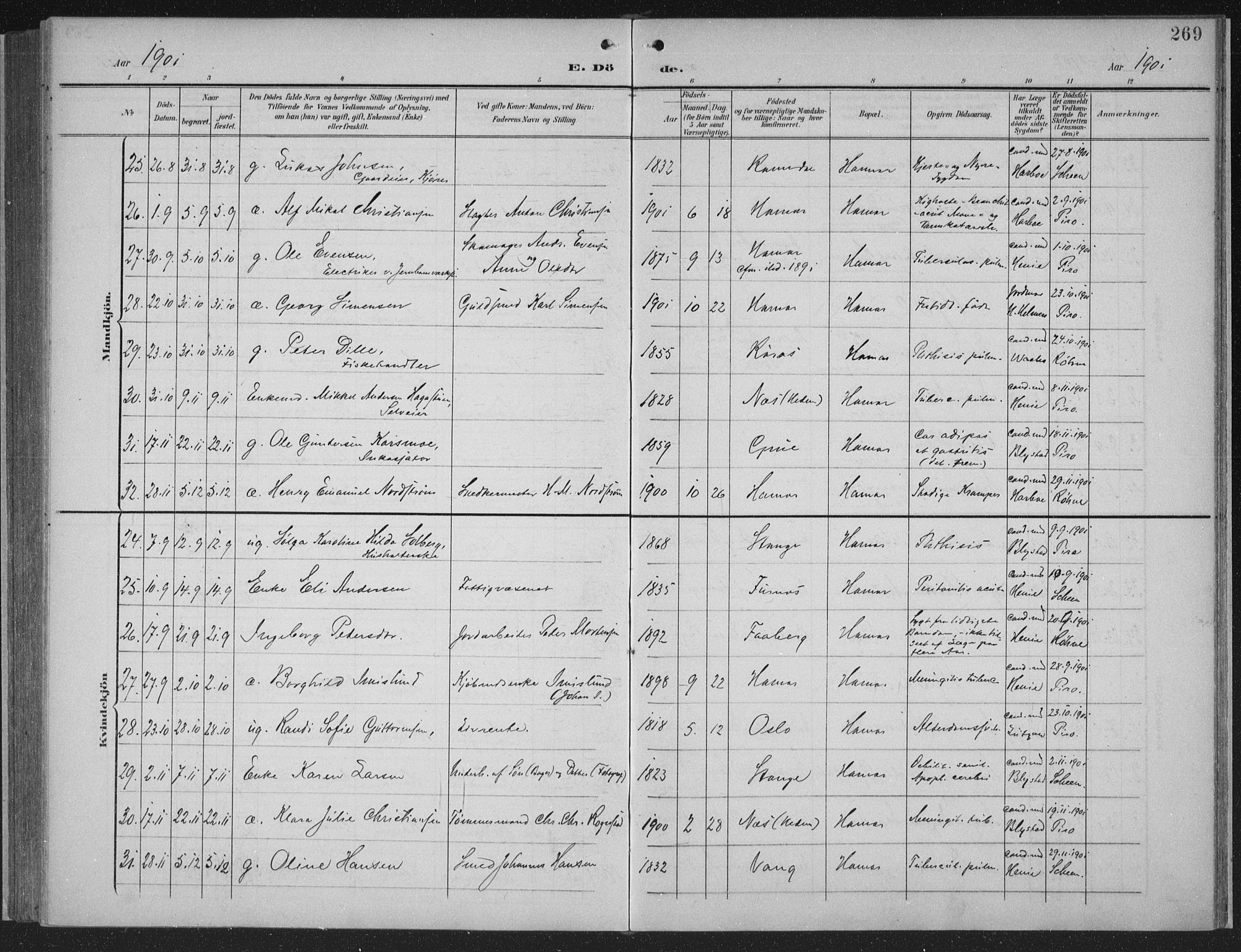 Hamar prestekontor, SAH/DOMPH-002/H/Ha/Haa/L0001: Ministerialbok nr. 1, 1900-1914, s. 269