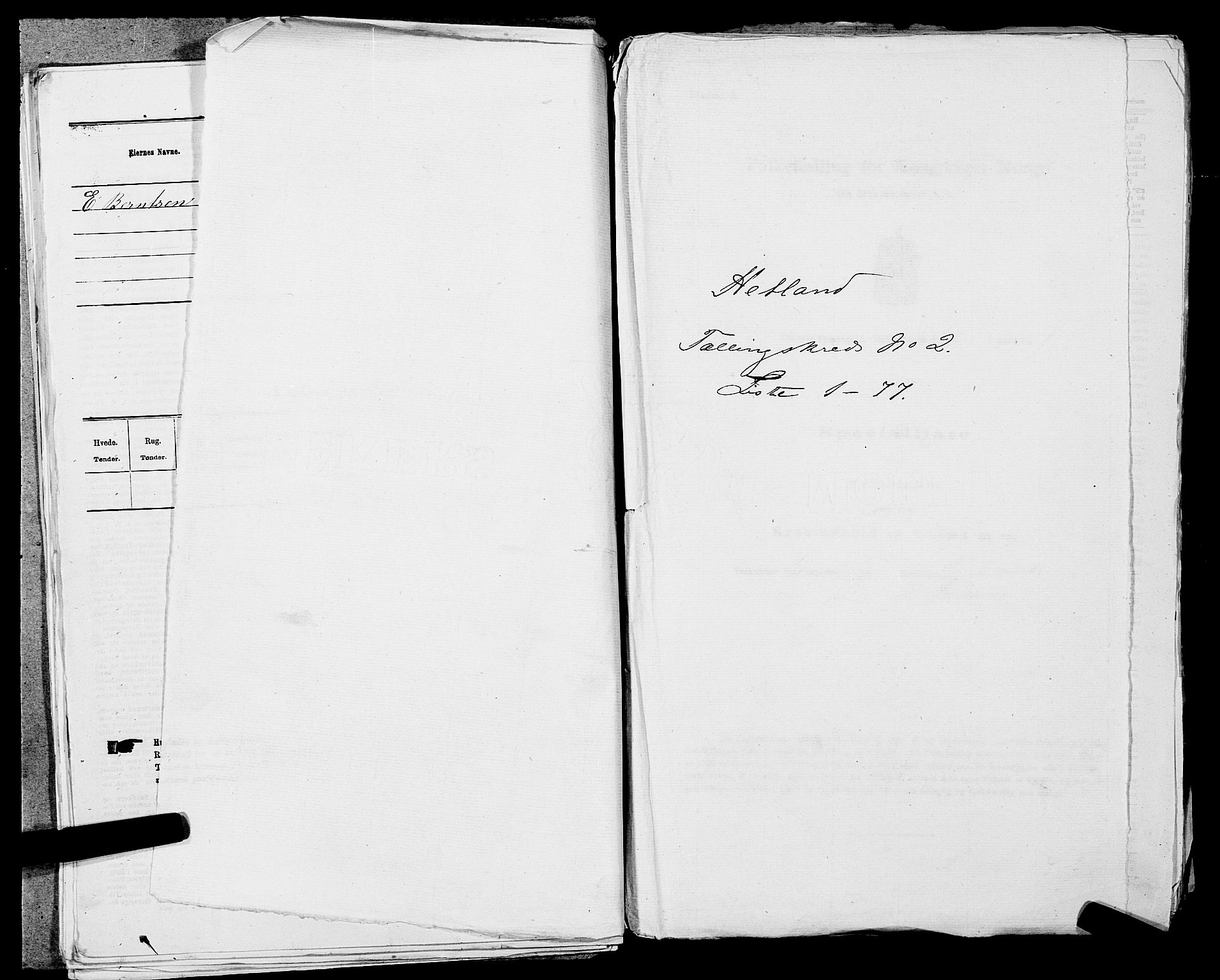 SAST, Folketelling 1875 for 1126P Hetland prestegjeld, 1875, s. 319