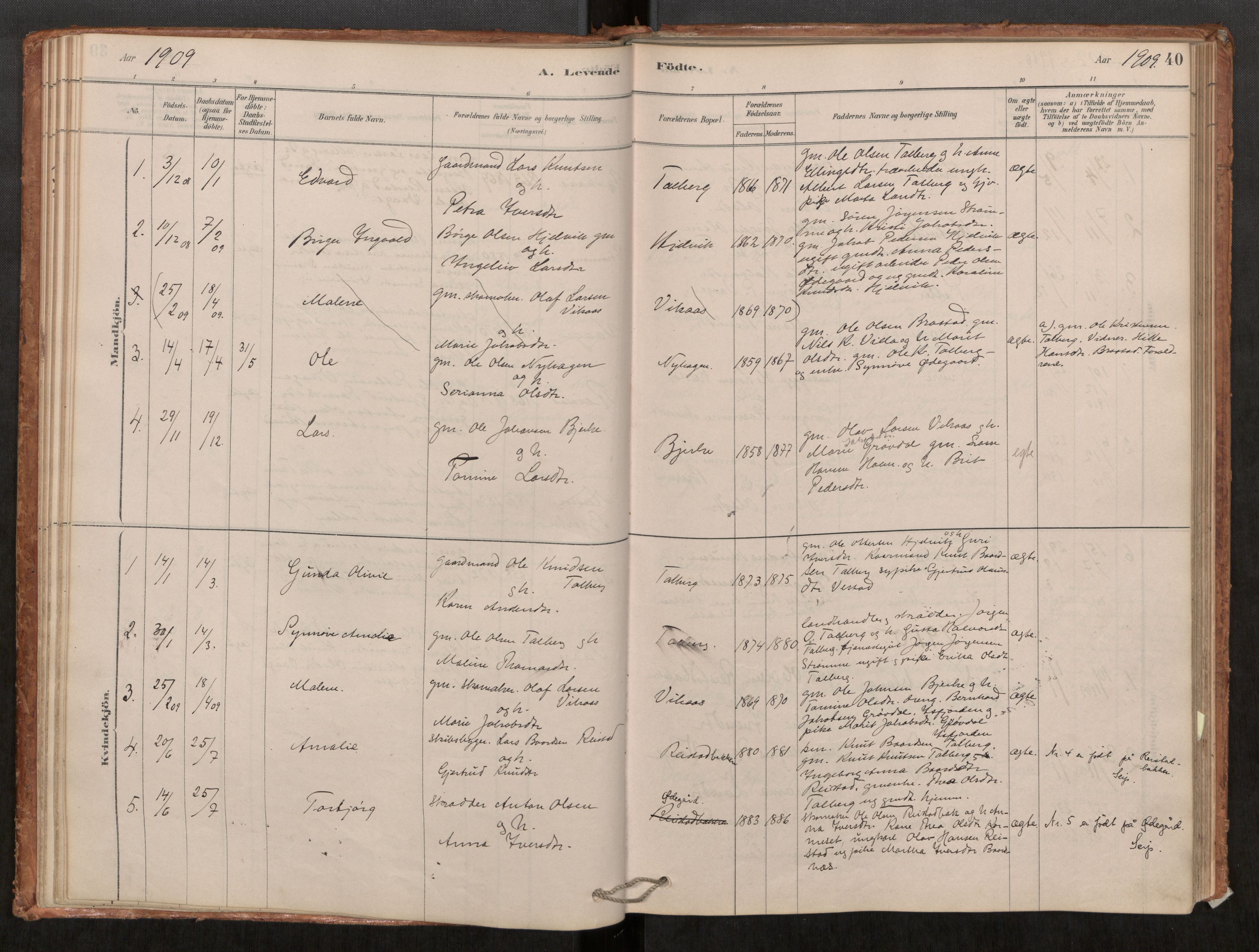 Ministerialprotokoller, klokkerbøker og fødselsregistre - Møre og Romsdal, AV/SAT-A-1454/550/L0621: Ministerialbok nr. 550A01, 1878-1915, s. 40