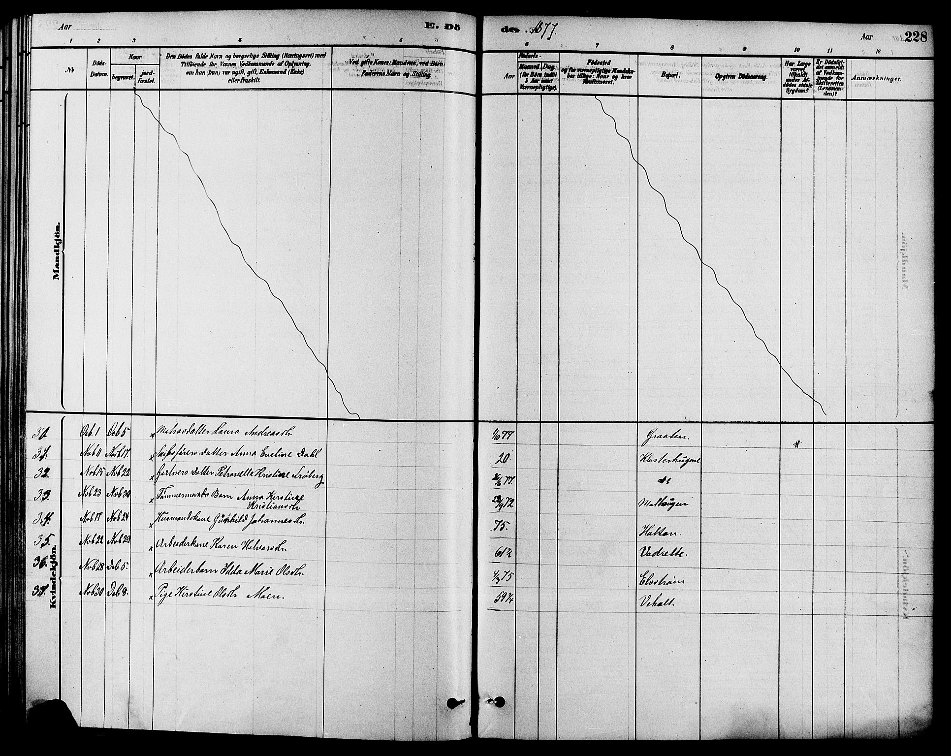 Solum kirkebøker, SAKO/A-306/F/Fa/L0009: Ministerialbok nr. I 9, 1877-1887, s. 228