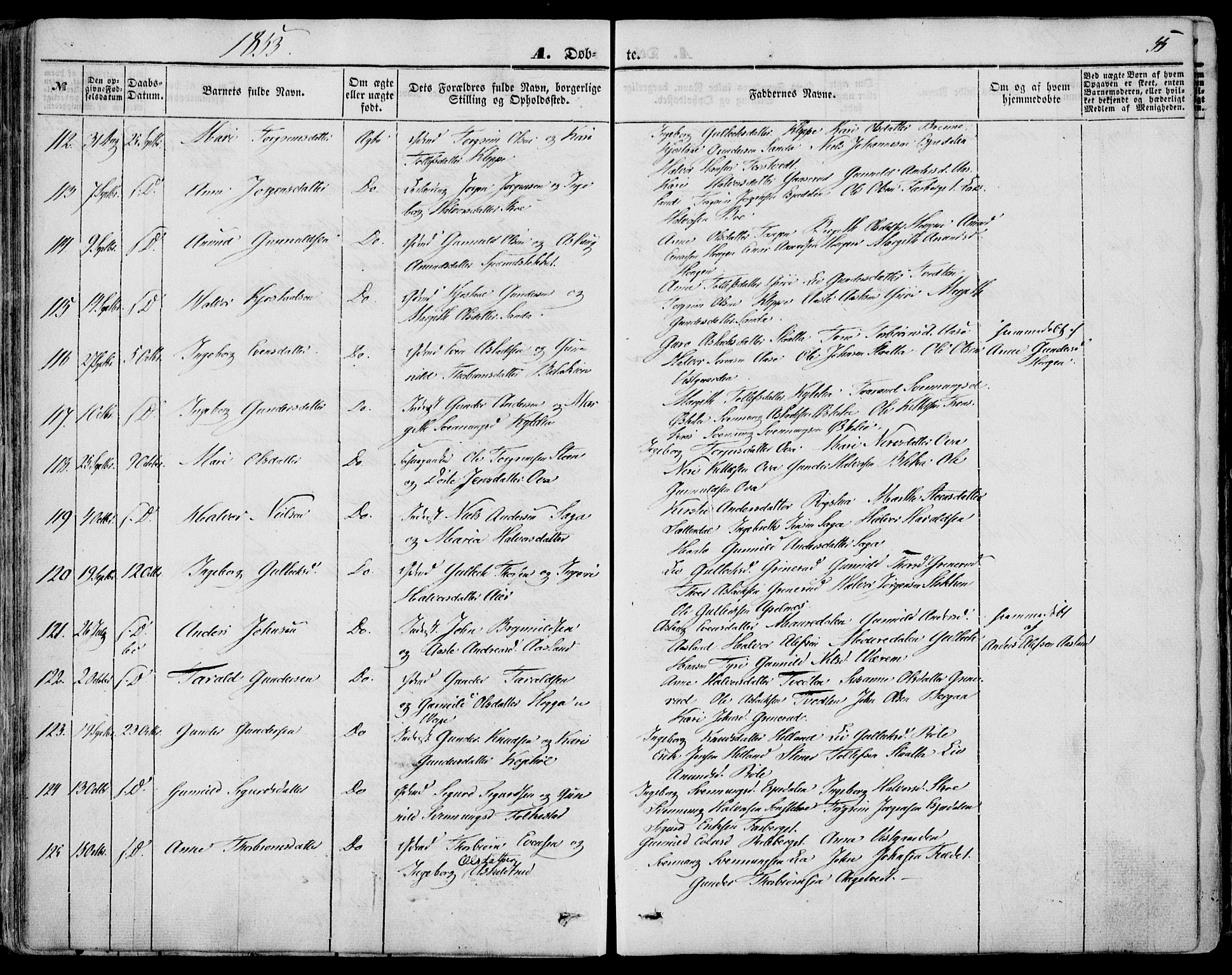 Bø kirkebøker, AV/SAKO-A-257/F/Fa/L0008: Ministerialbok nr. 8, 1849-1861, s. 55