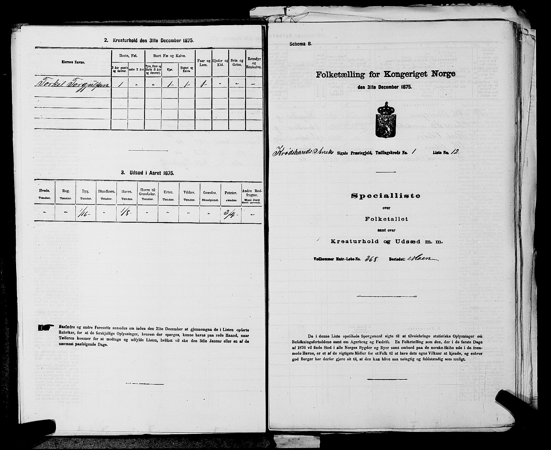 SAKO, Folketelling 1875 for 0621P Sigdal prestegjeld, 1875, s. 1190