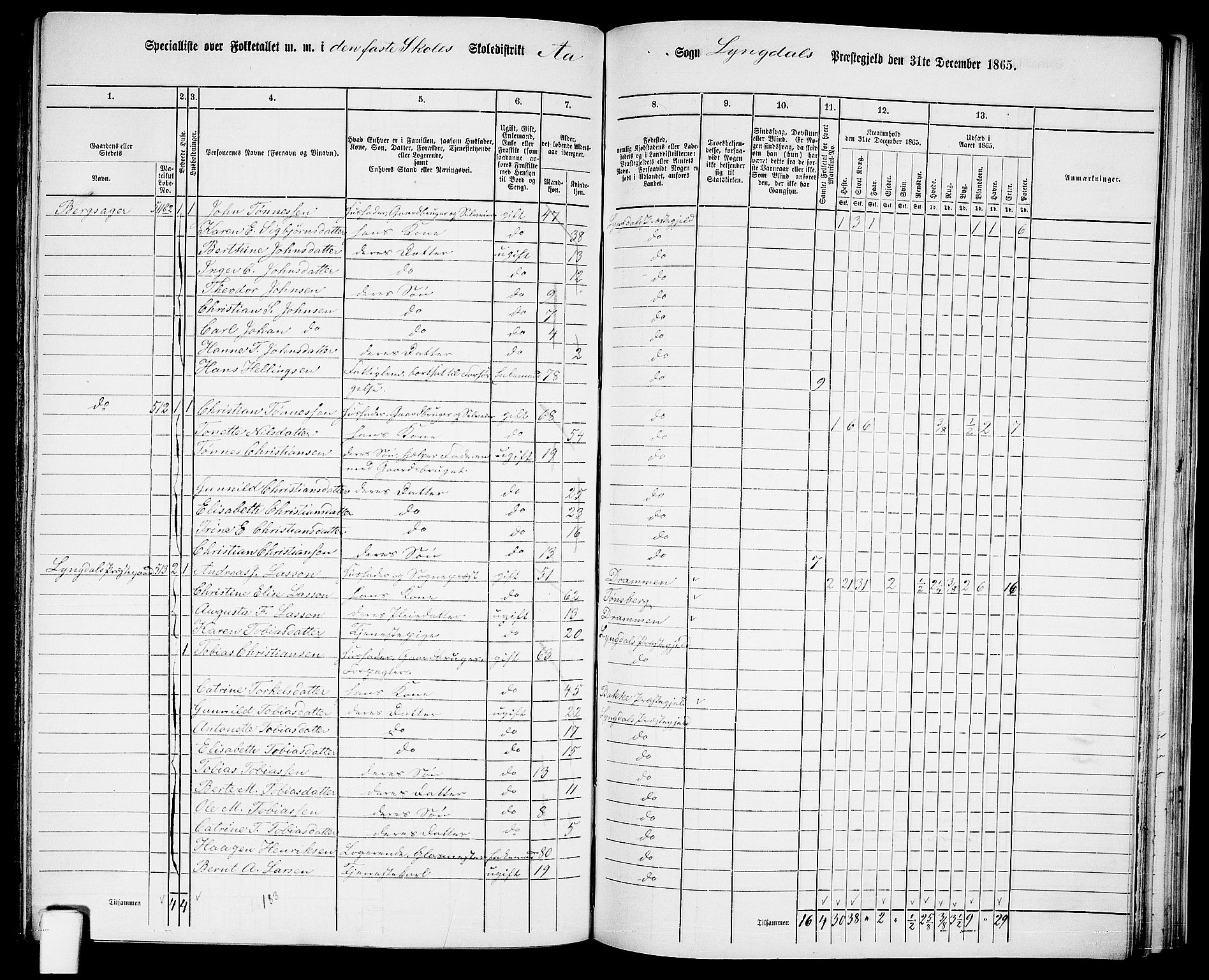 RA, Folketelling 1865 for 1032P Lyngdal prestegjeld, 1865, s. 202