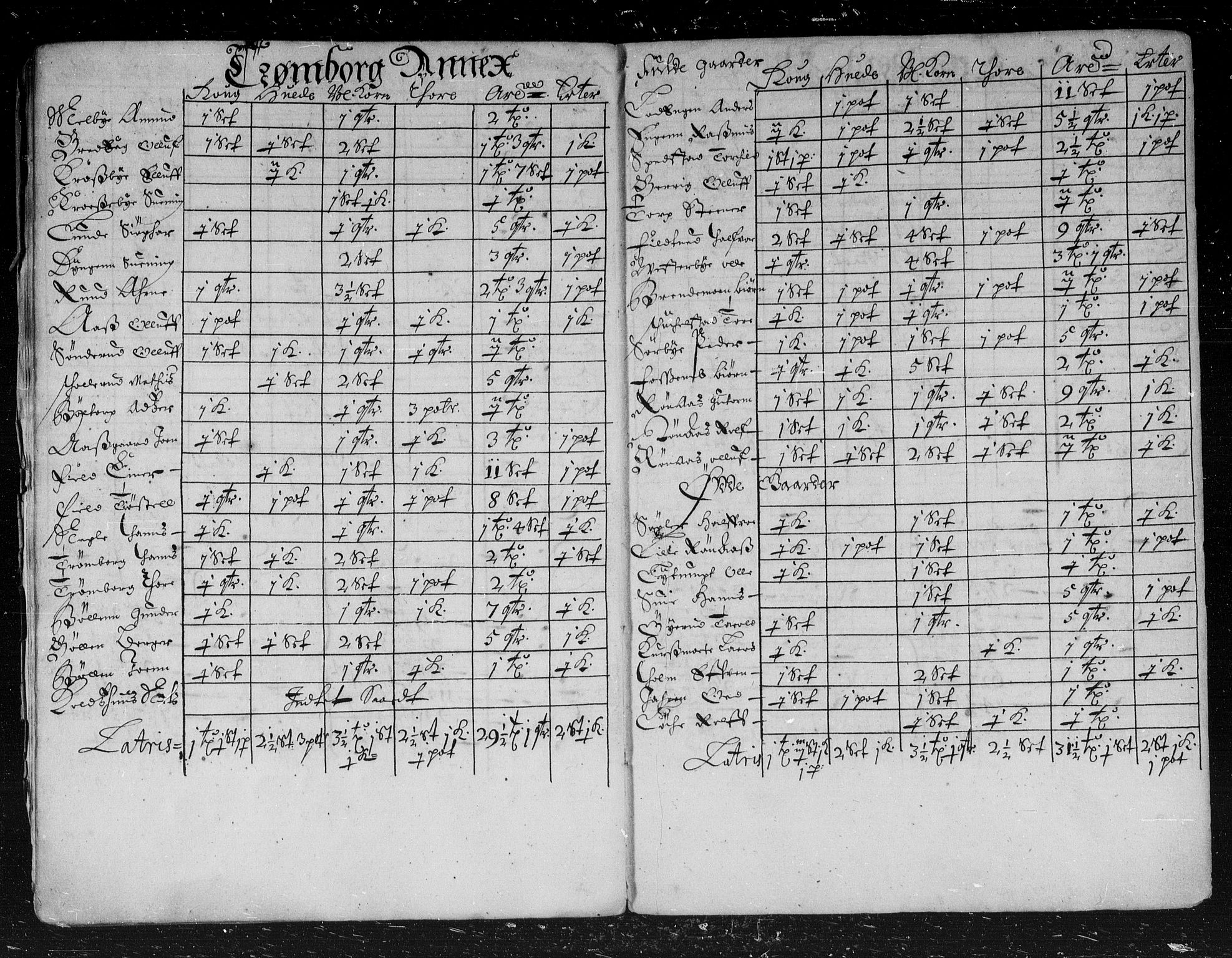 Rentekammeret inntil 1814, Reviderte regnskaper, Stiftamtstueregnskaper, Landkommissariatet på Akershus og Akershus stiftamt, AV/RA-EA-5869/R/Rb/L0045: Akershus stiftamt, 1667