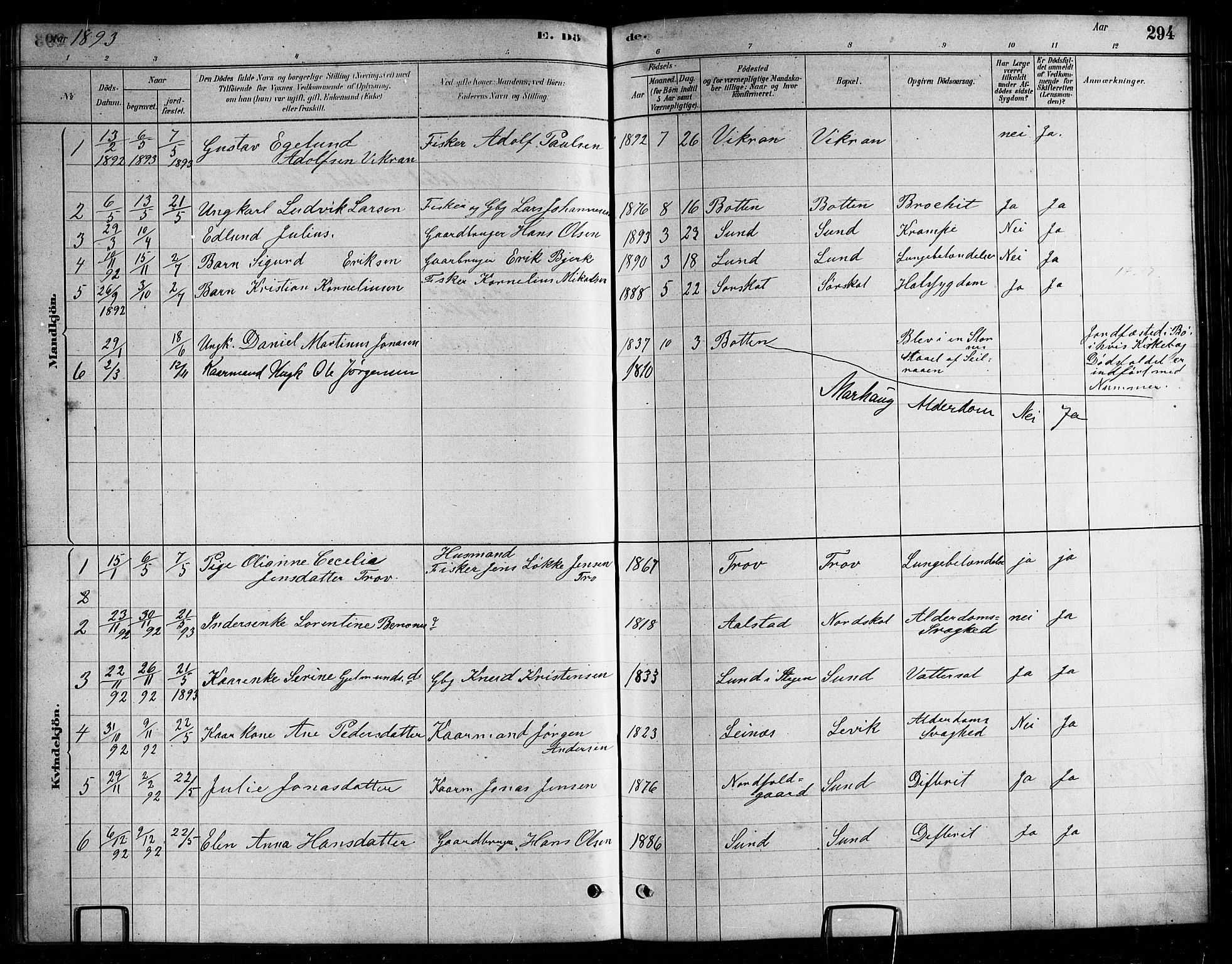 Ministerialprotokoller, klokkerbøker og fødselsregistre - Nordland, AV/SAT-A-1459/857/L0828: Klokkerbok nr. 857C03, 1879-1908, s. 294