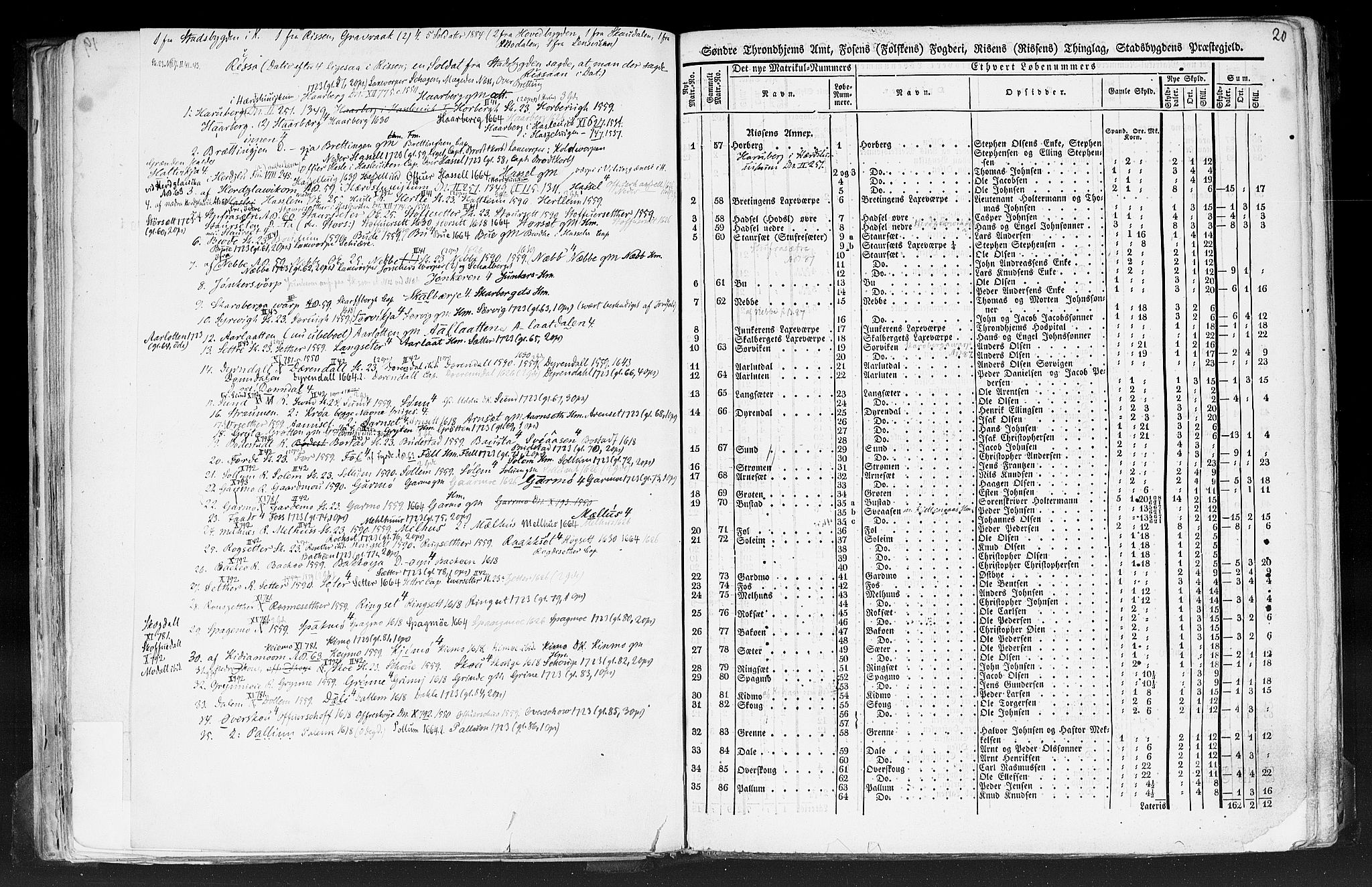 Rygh, RA/PA-0034/F/Fb/L0014: Matrikkelen for 1838 - Søndre Trondhjems amt (Sør-Trøndelag fylke), 1838, s. 20a