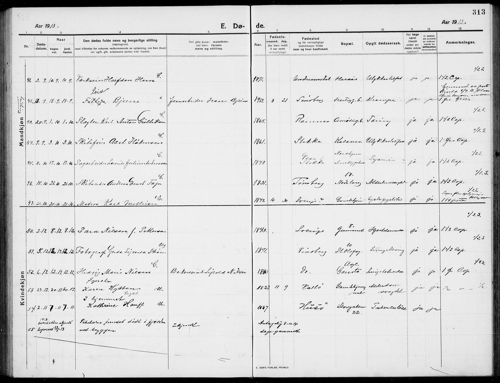 Tønsberg kirkebøker, SAKO/A-330/G/Ga/L0009: Klokkerbok nr. 9, 1913-1920, s. 313