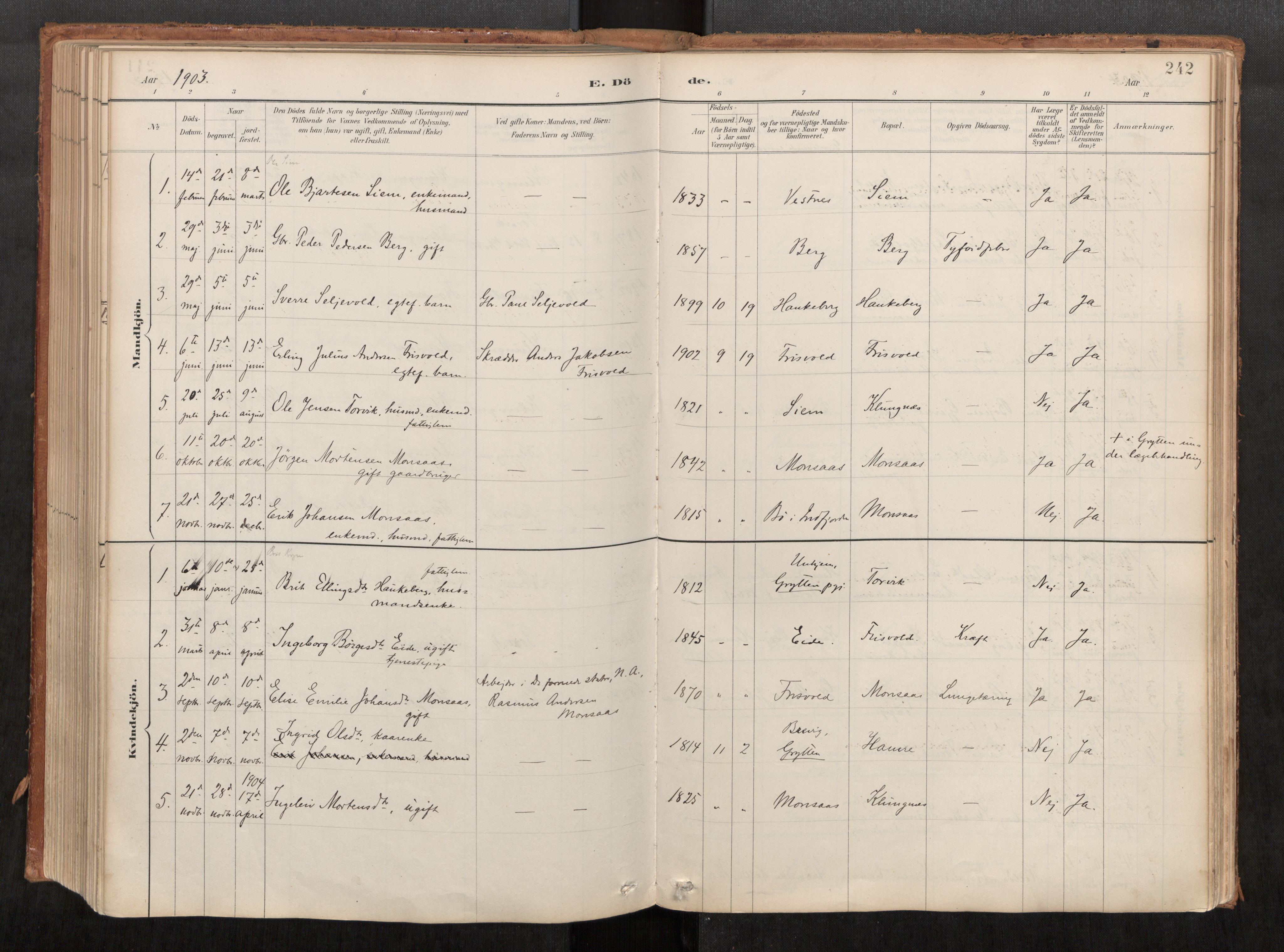 Ministerialprotokoller, klokkerbøker og fødselsregistre - Møre og Romsdal, AV/SAT-A-1454/542/L0553: Ministerialbok nr. 542A03, 1885-1925, s. 242