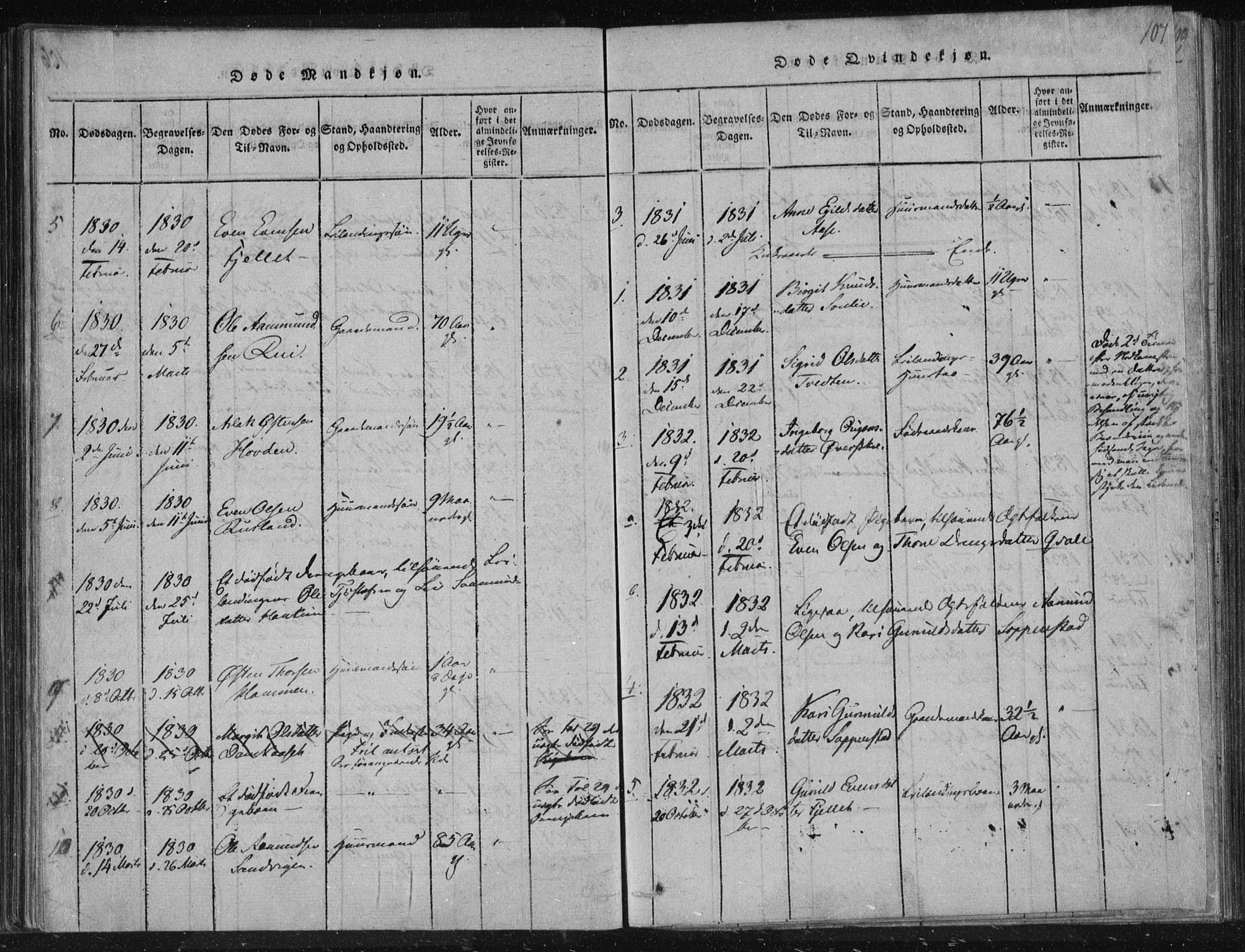 Lårdal kirkebøker, AV/SAKO-A-284/F/Fc/L0001: Ministerialbok nr. III 1, 1815-1860, s. 107