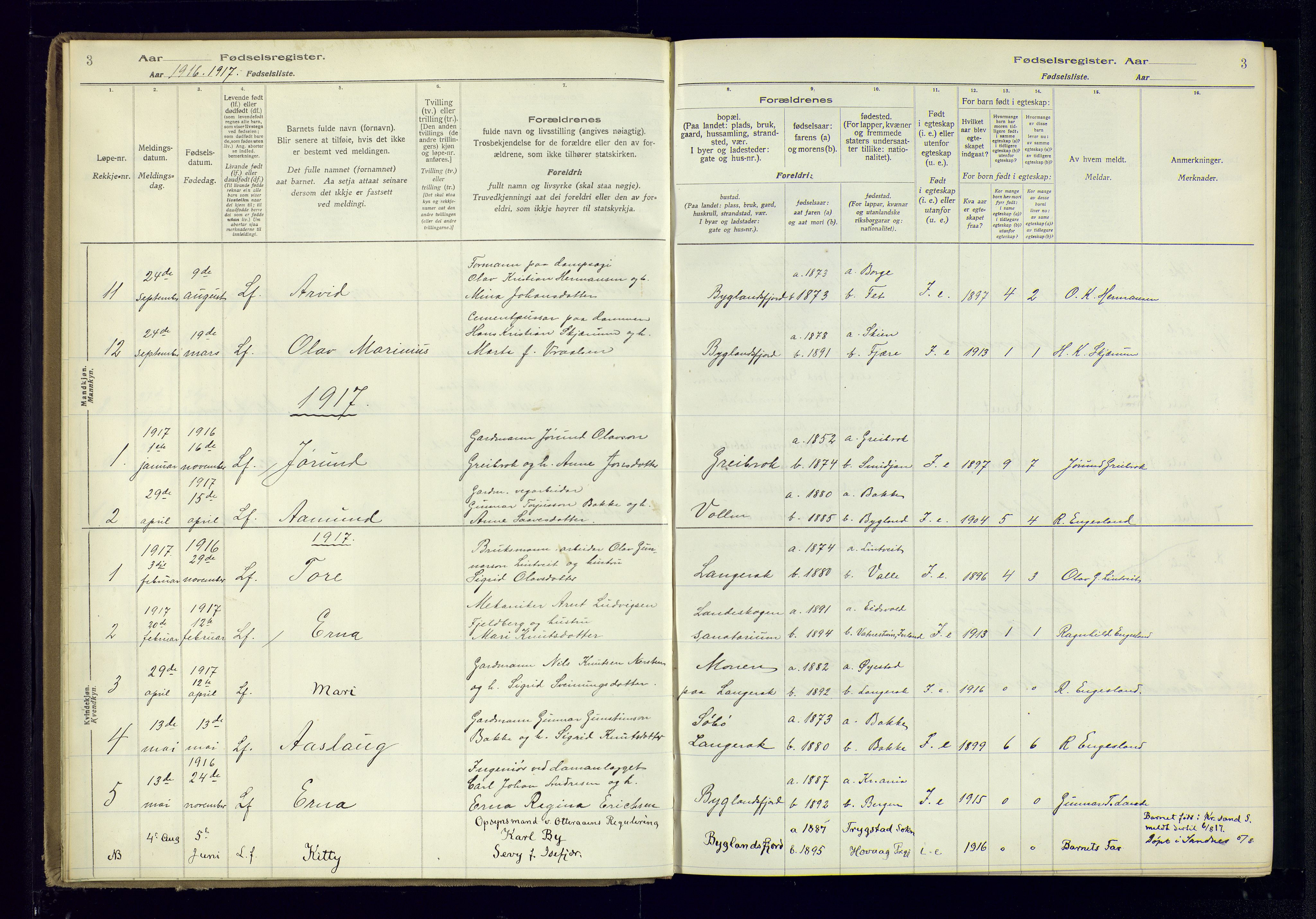 Bygland sokneprestkontor, AV/SAK-1111-0006/J/Ja/L0004: Fødselsregister nr. II.4.5, 1916-1983, s. 3