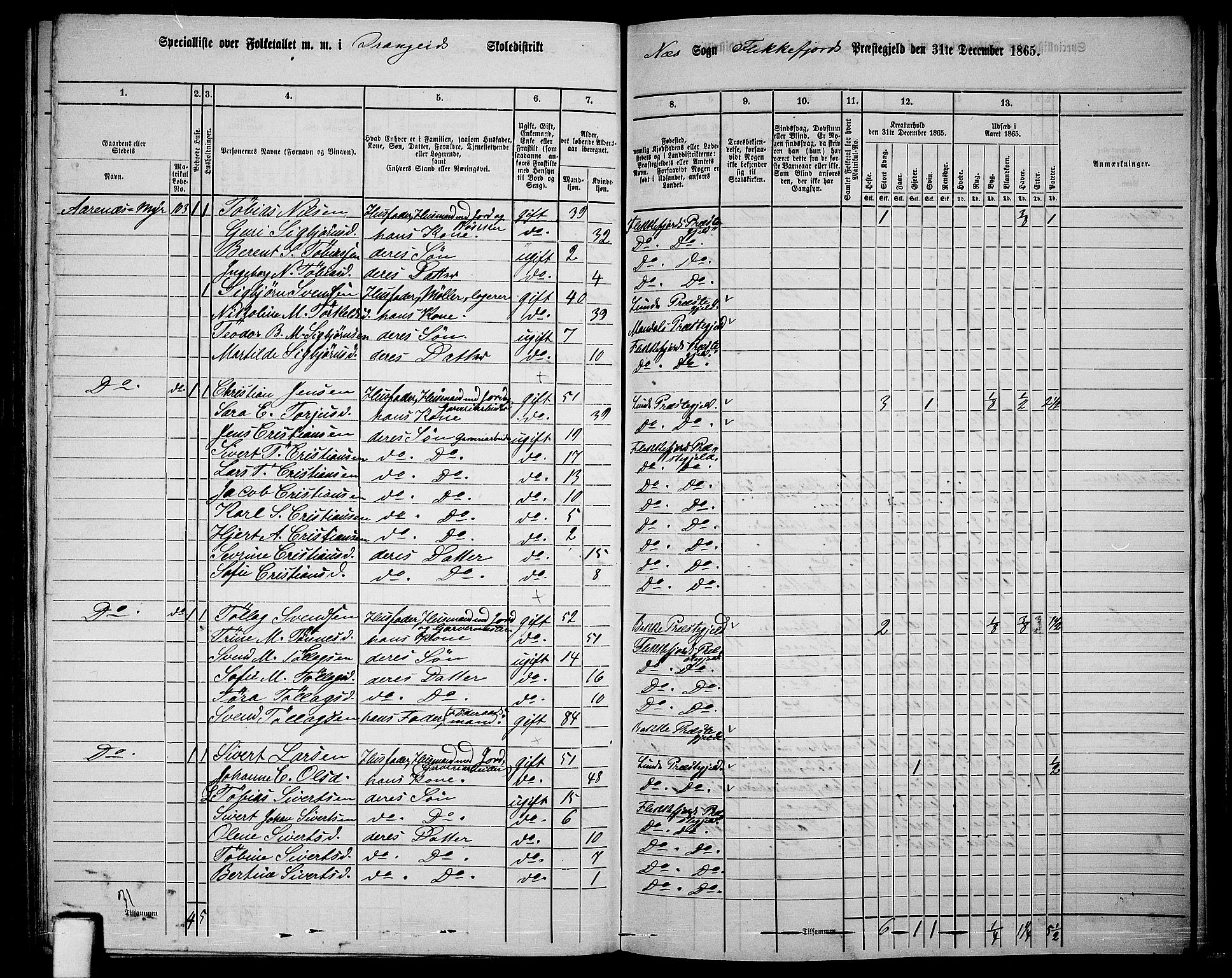 RA, Folketelling 1865 for 1042L Flekkefjord prestegjeld, Nes sokn og Hidra sokn, 1865, s. 152