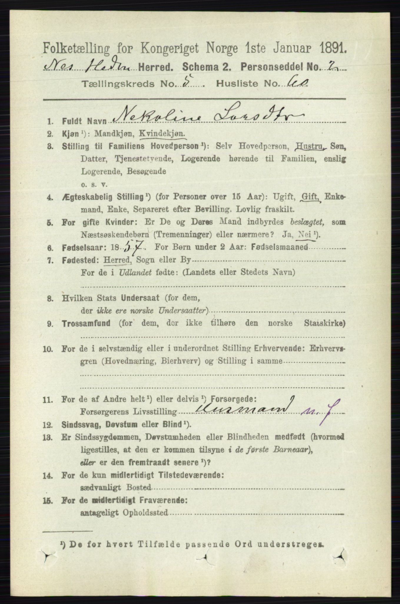 RA, Folketelling 1891 for 0411 Nes herred, 1891, s. 2991