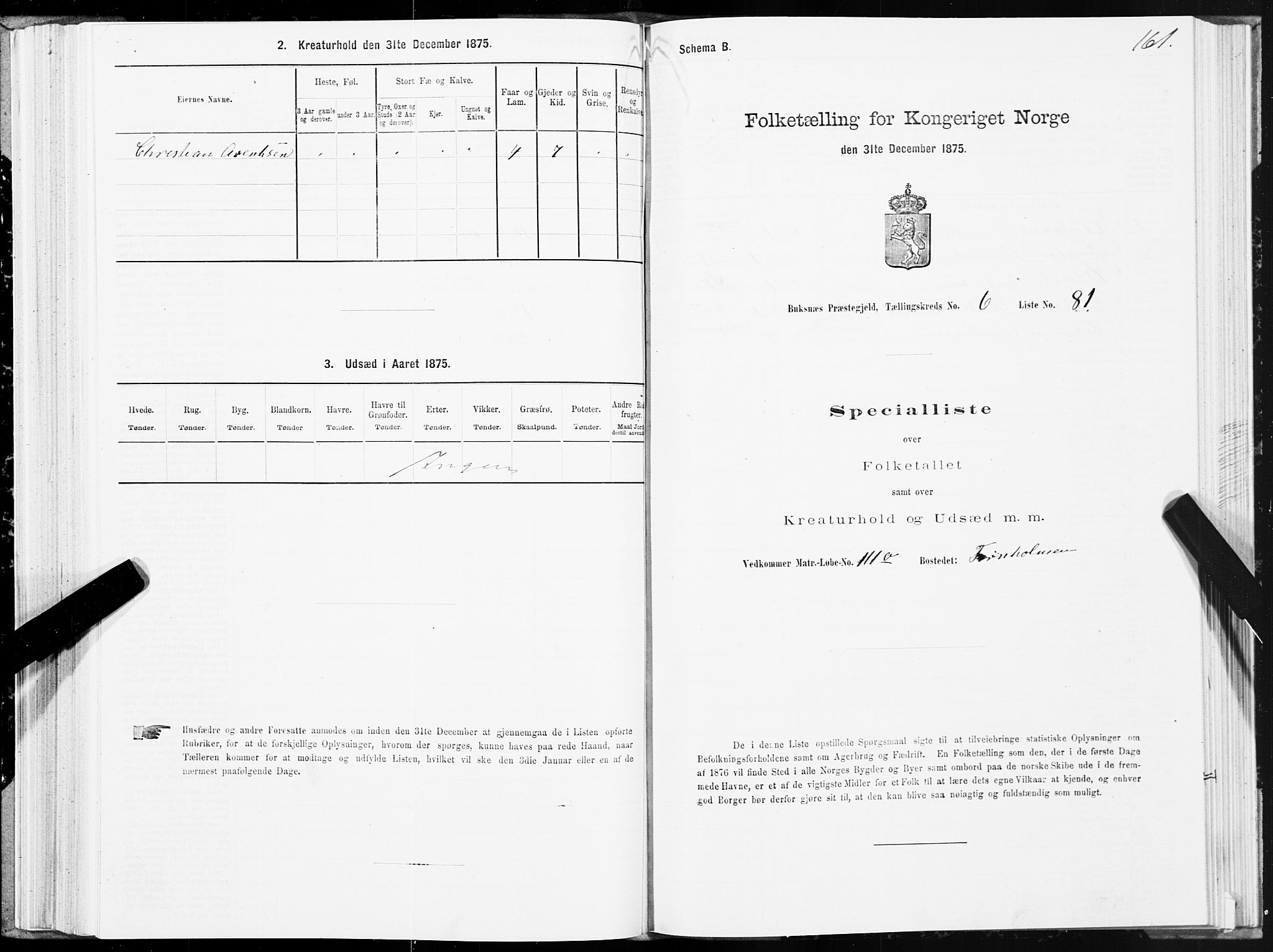 SAT, Folketelling 1875 for 1860P Buksnes prestegjeld, 1875, s. 3161