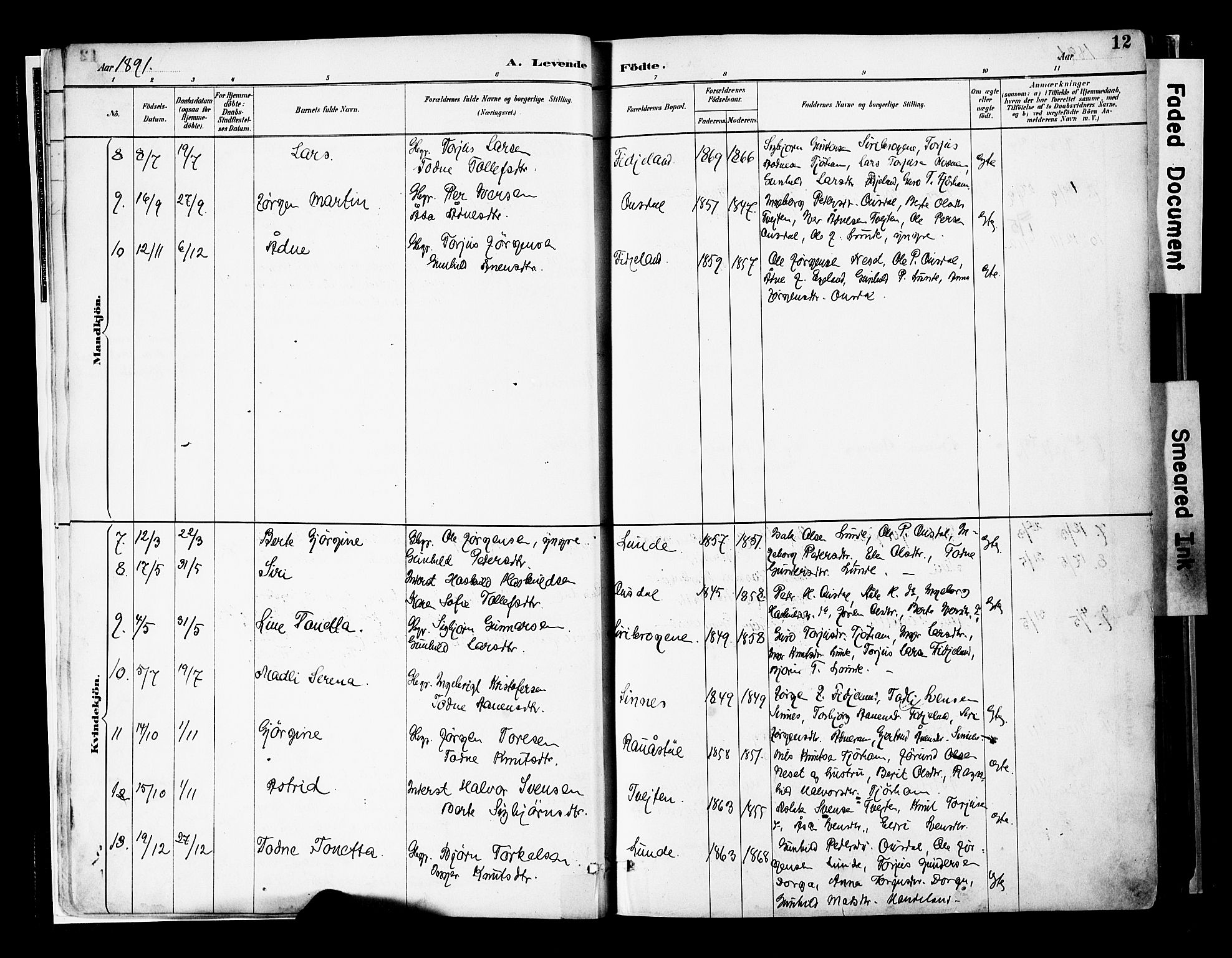 Sirdal sokneprestkontor, AV/SAK-1111-0036/F/Fa/Faa/L0001: Ministerialbok nr. A 1, 1887-1910, s. 12