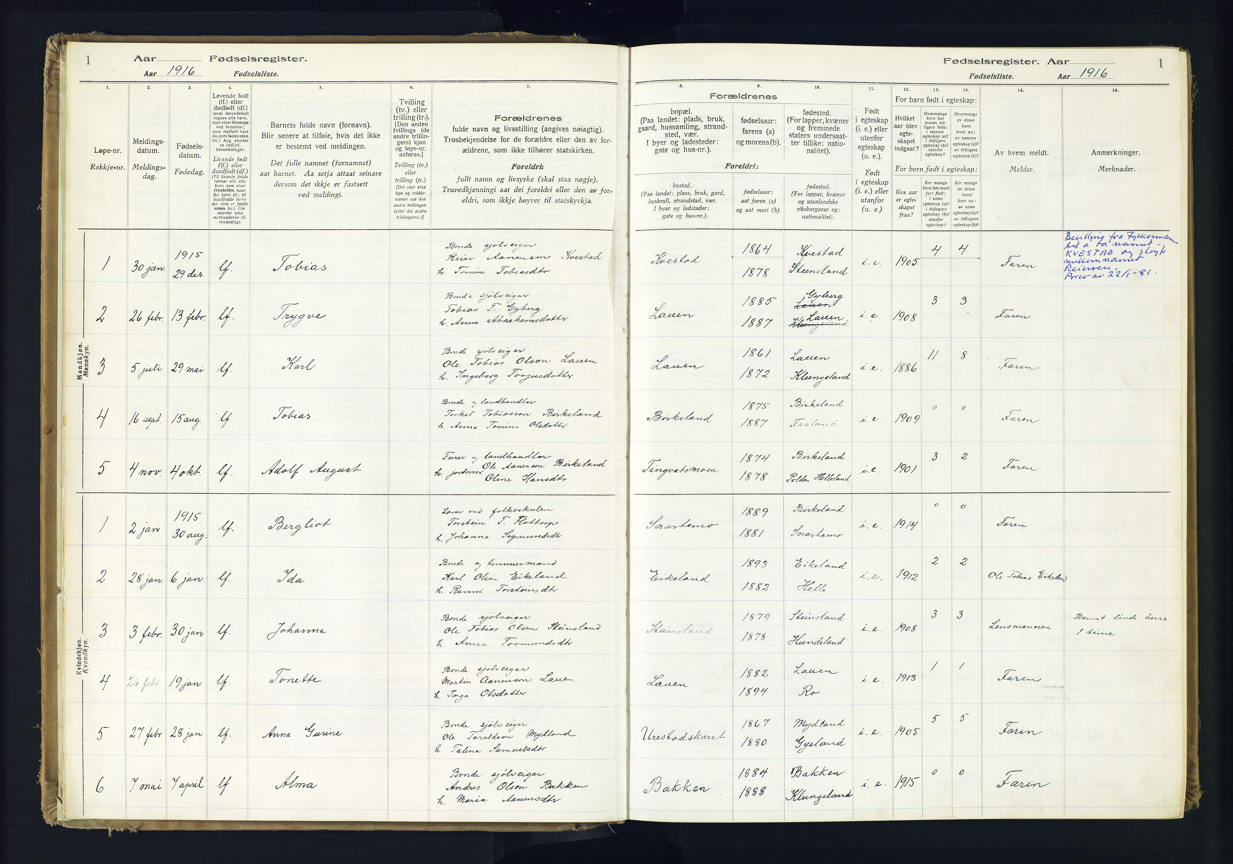 Hægebostad sokneprestkontor, SAK/1111-0024/J/Ja/L0001: Fødselsregister nr. II.6.7, 1916-1982, s. 1