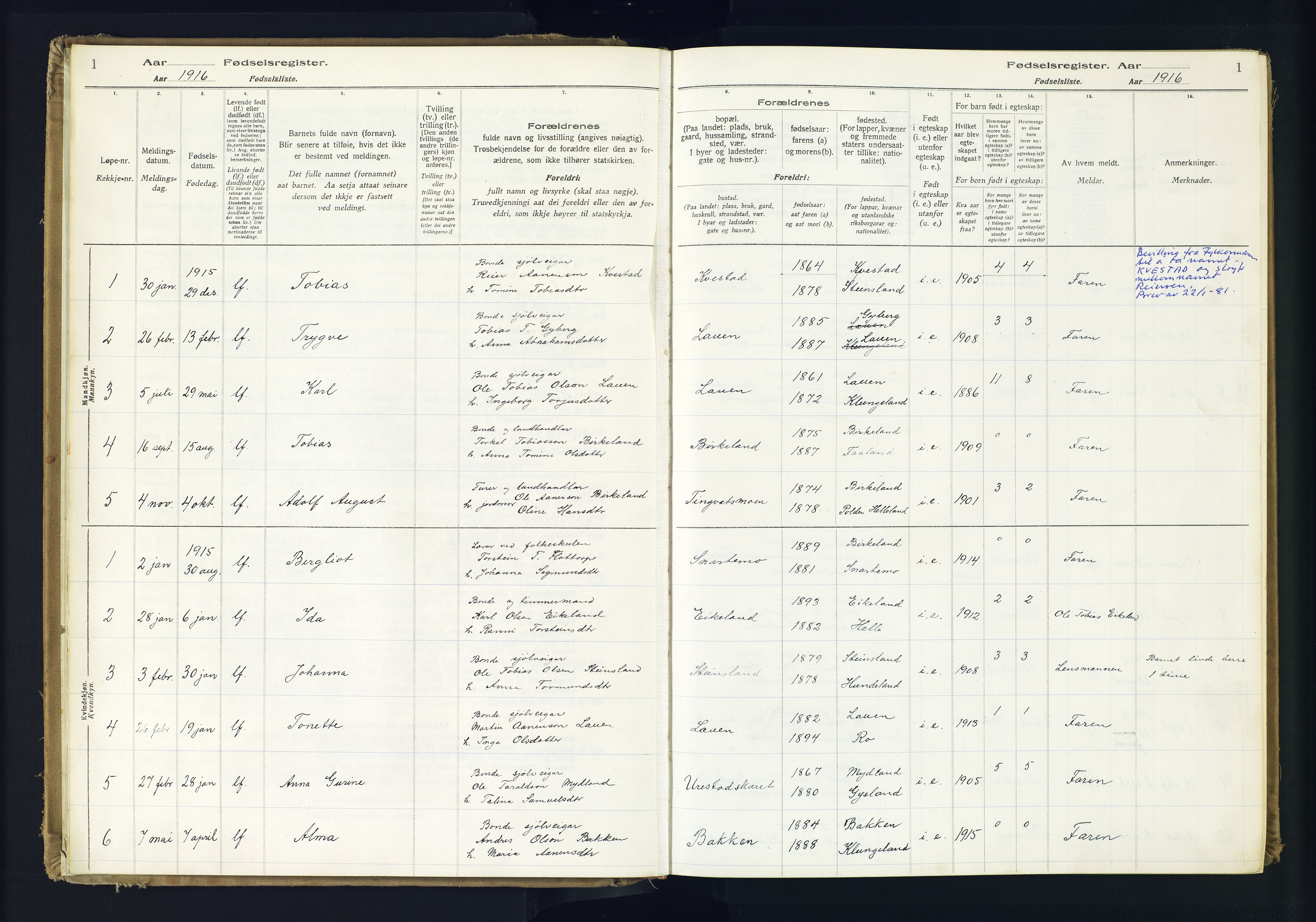 Hægebostad sokneprestkontor, AV/SAK-1111-0024/J/Ja/L0001: Fødselsregister nr. II.6.7, 1916-1982, s. 1