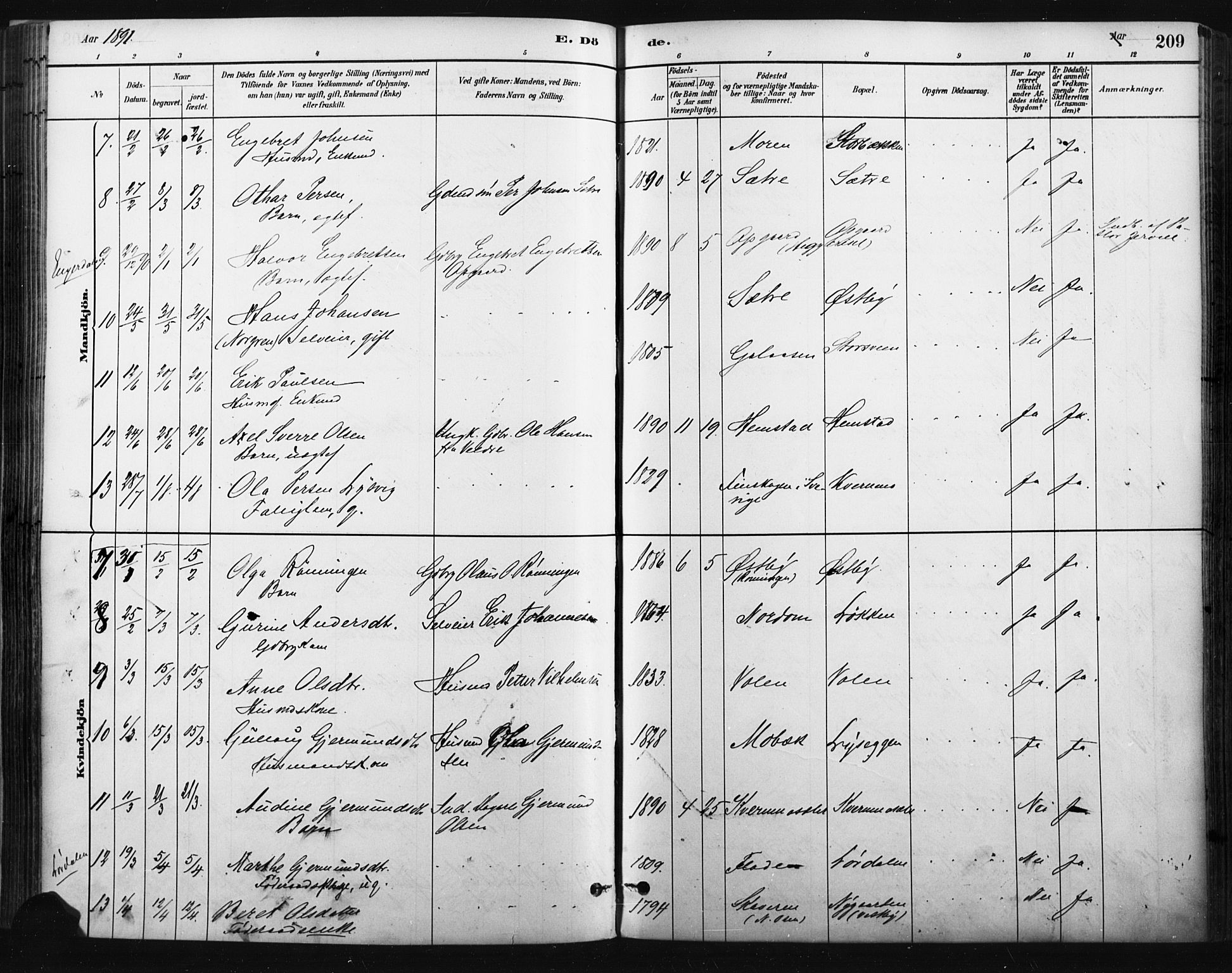 Trysil prestekontor, AV/SAH-PREST-046/H/Ha/Haa/L0009: Ministerialbok nr. 9, 1881-1897, s. 209