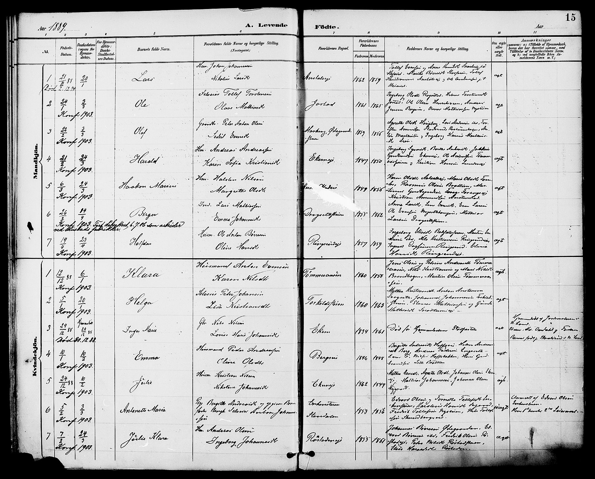 Biri prestekontor, AV/SAH-PREST-096/H/Ha/Haa/L0007: Ministerialbok nr. 7, 1887-1893, s. 15