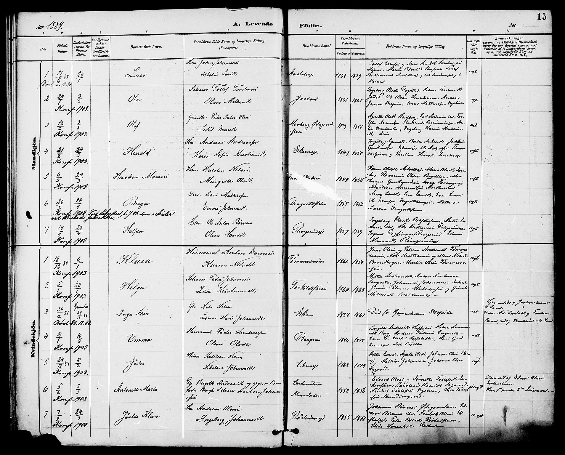 Biri prestekontor, SAH/PREST-096/H/Ha/Haa/L0007: Ministerialbok nr. 7, 1887-1893, s. 15