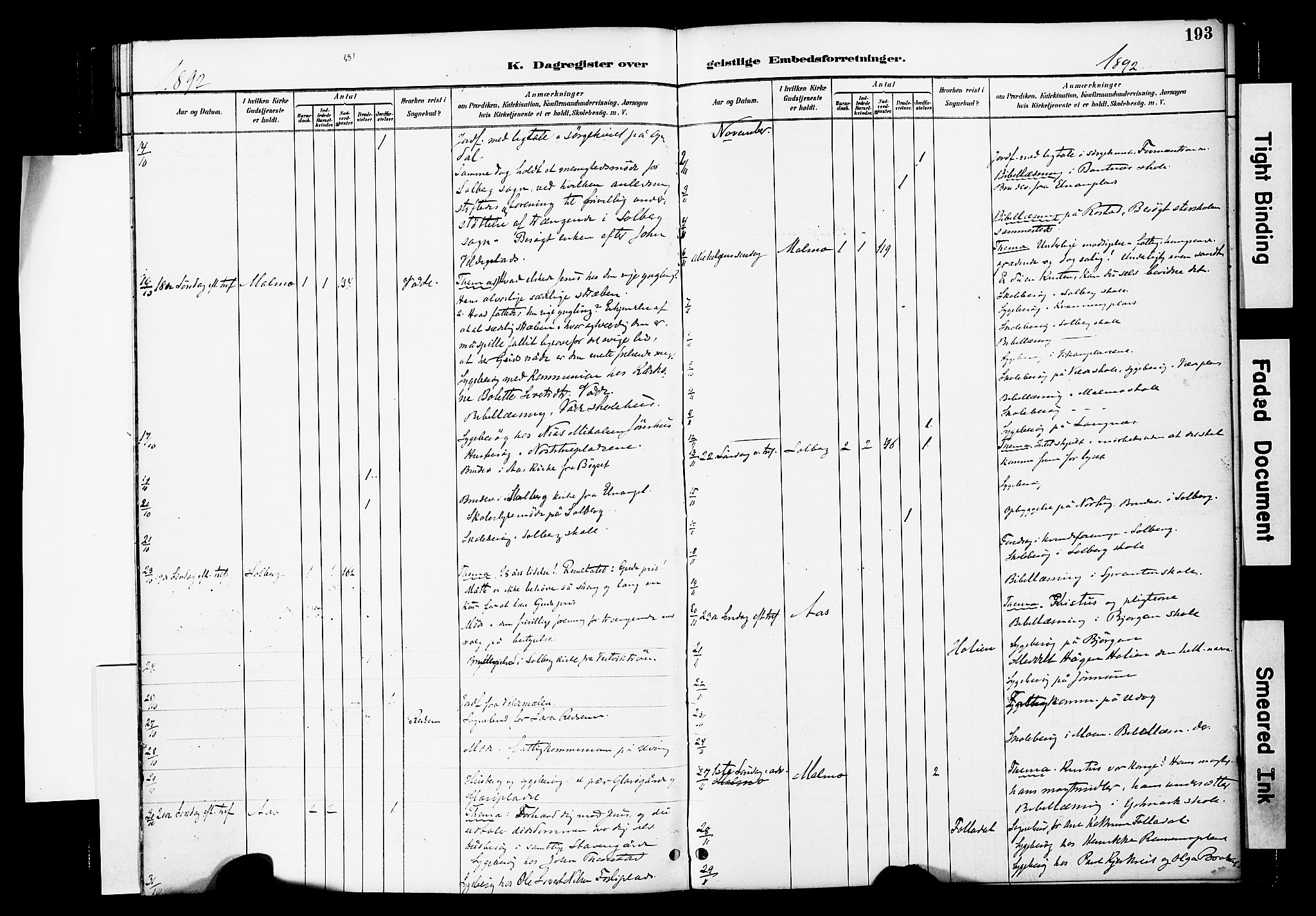 Ministerialprotokoller, klokkerbøker og fødselsregistre - Nord-Trøndelag, SAT/A-1458/741/L0396: Ministerialbok nr. 741A10, 1889-1901, s. 193