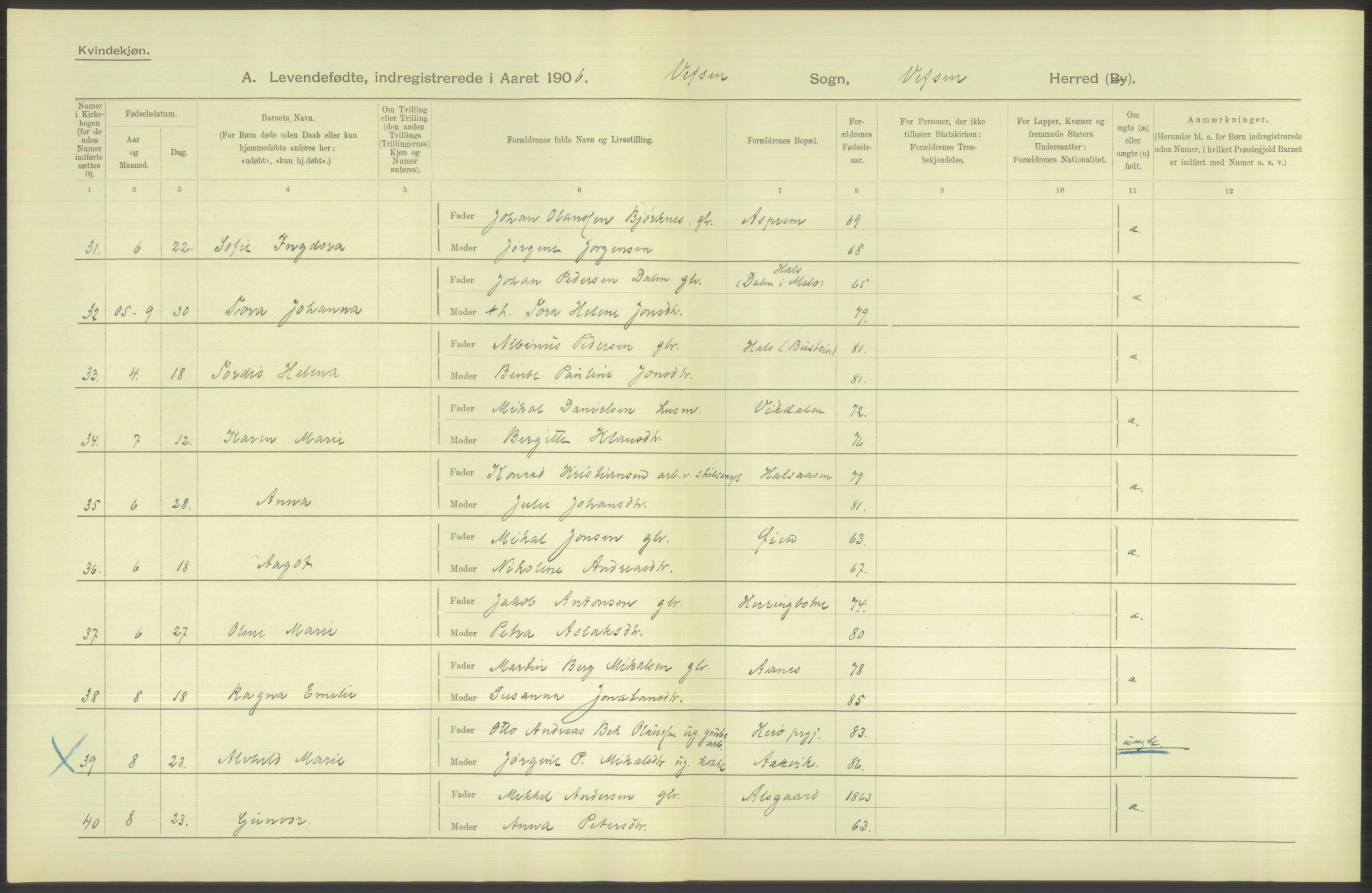 Statistisk sentralbyrå, Sosiodemografiske emner, Befolkning, AV/RA-S-2228/D/Df/Dfa/Dfad/L0043: Nordlands amt: Levendefødte menn og kvinner. Bygder., 1906, s. 48