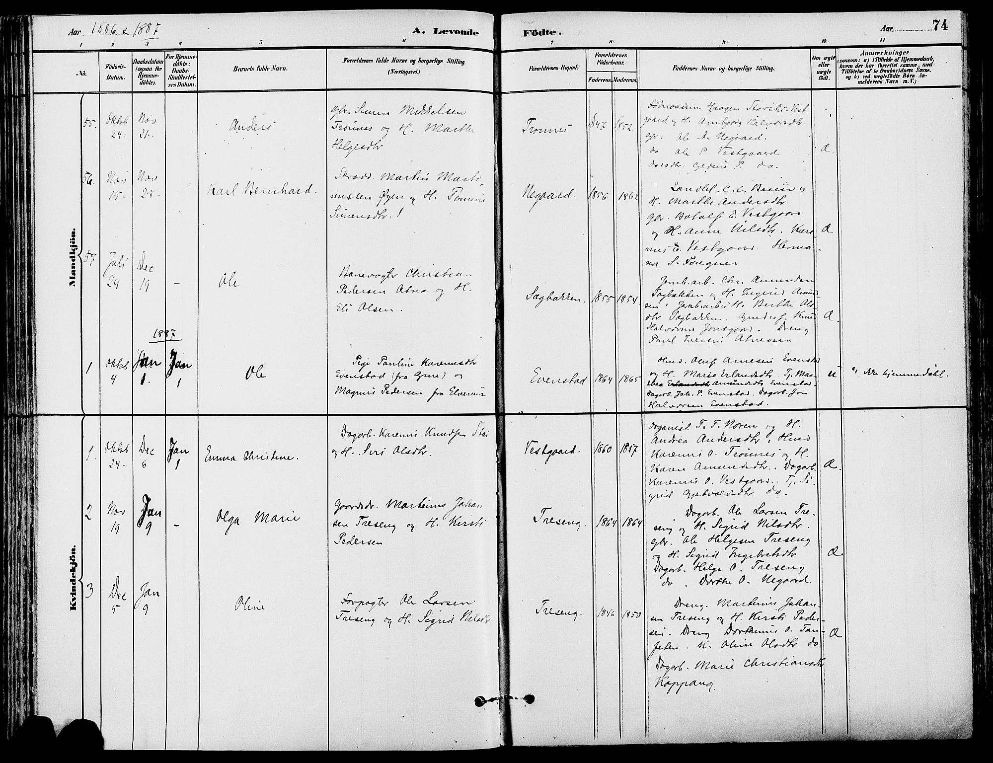 Stor-Elvdal prestekontor, SAH/PREST-052/H/Ha/Haa/L0002: Ministerialbok nr. 2, 1882-1907, s. 74