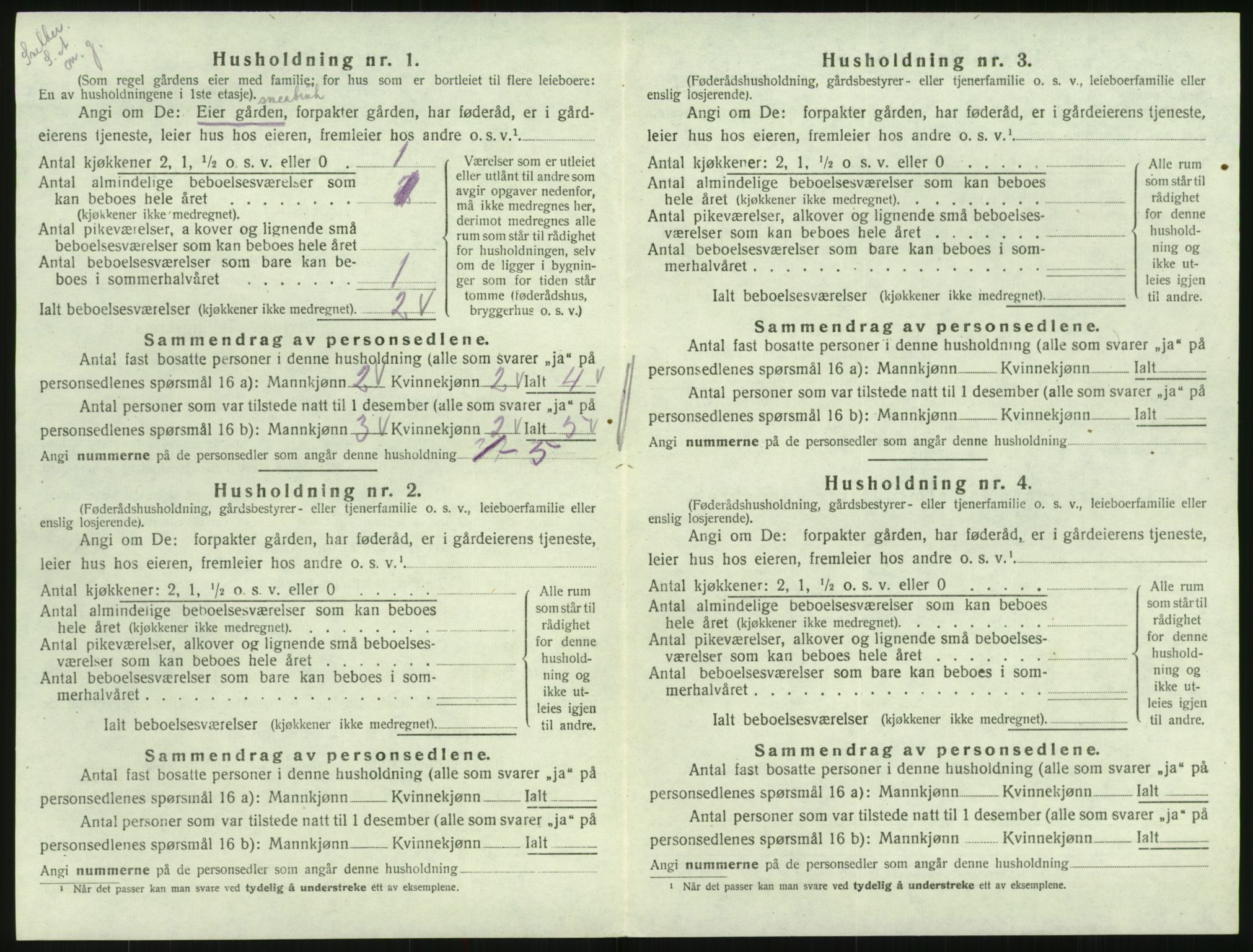 SAK, Folketelling 1920 for 0936 Hornnes herred, 1920, s. 130