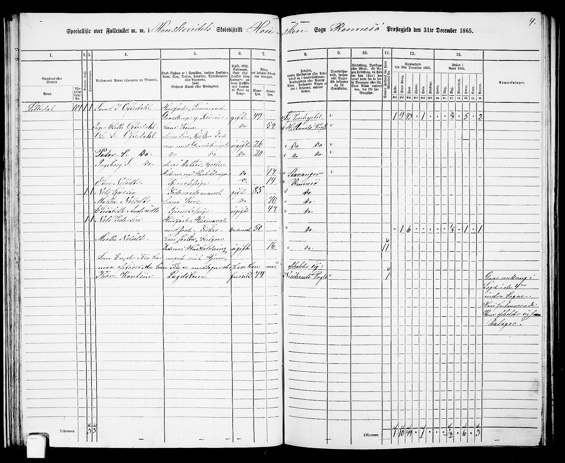 RA, Folketelling 1865 for 1142P Rennesøy prestegjeld, 1865, s. 40