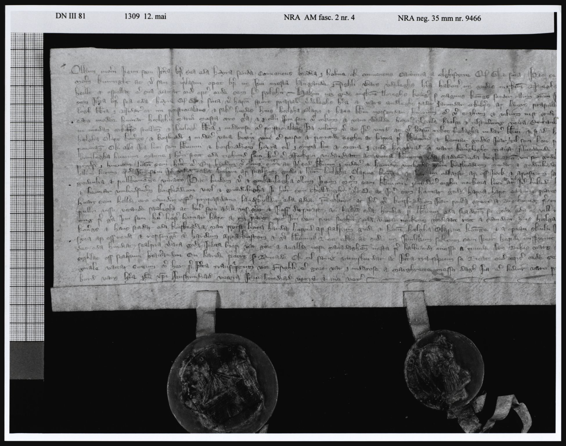 Riksarkivets diplomsamling, AV/RA-EA-5965/F05/L0005: NRA AM fasc. 2 nr. 3-6, 1308-1311, s. 10