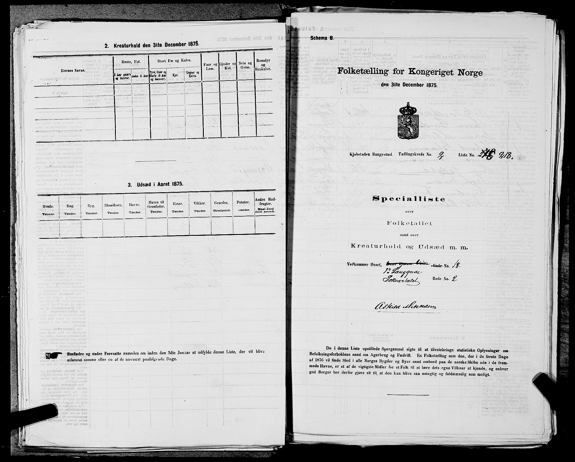 SAST, Folketelling 1875 for 1106B Torvastad prestegjeld, Haugesund kjøpstad, 1875, s. 507