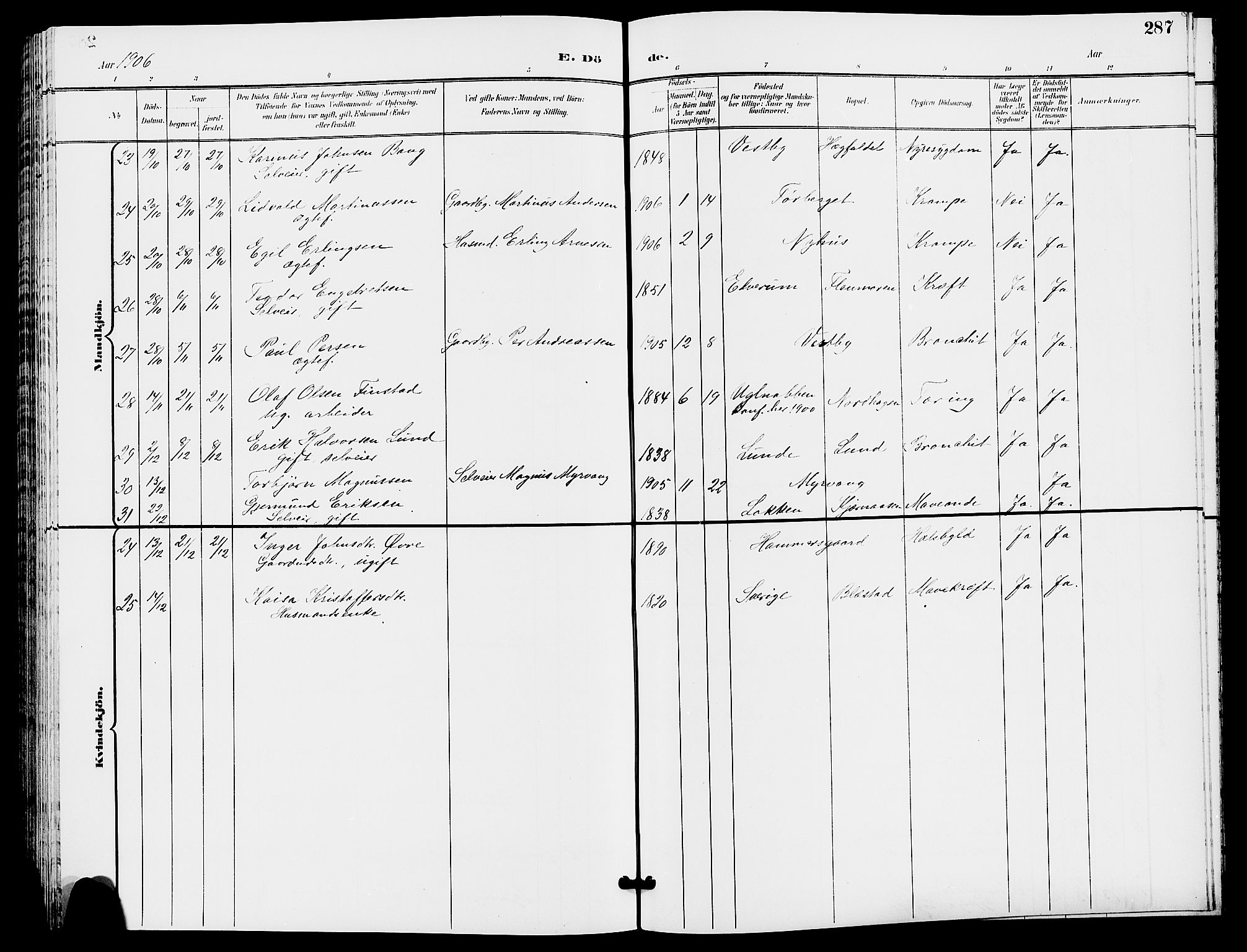 Trysil prestekontor, AV/SAH-PREST-046/H/Ha/Hab/L0006: Klokkerbok nr. 6, 1896-1912, s. 287