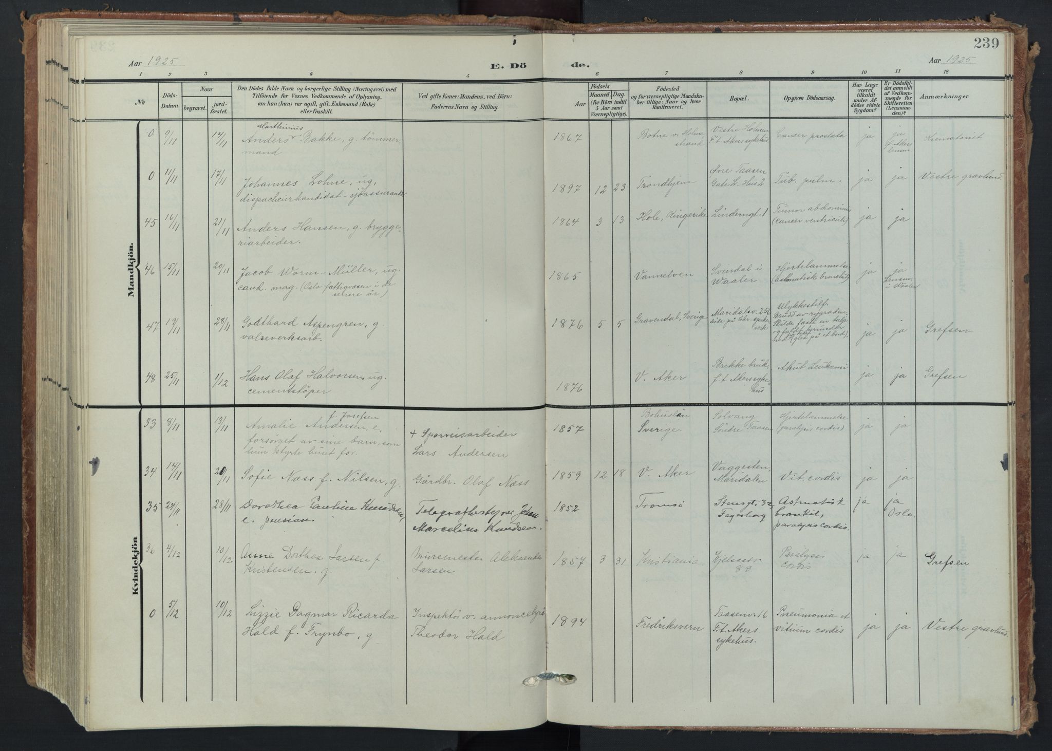 Vestre Aker prestekontor Kirkebøker, AV/SAO-A-10025/F/Fa/L0016: Ministerialbok nr. 16, 1904-1926, s. 239