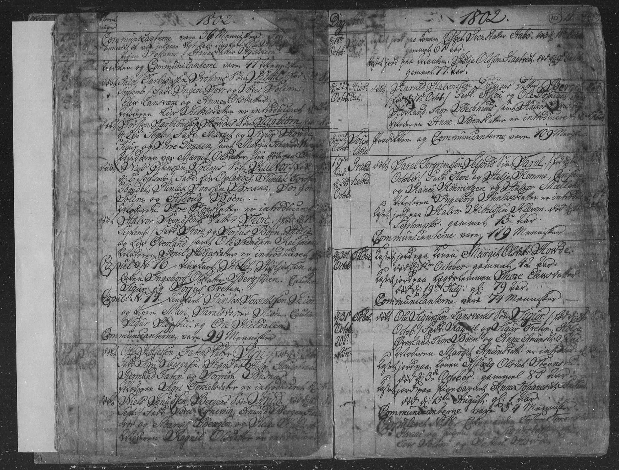 Hjartdal kirkebøker, AV/SAKO-A-270/F/Fa/L0006: Ministerialbok nr. I 6, 1801-1814, s. 10