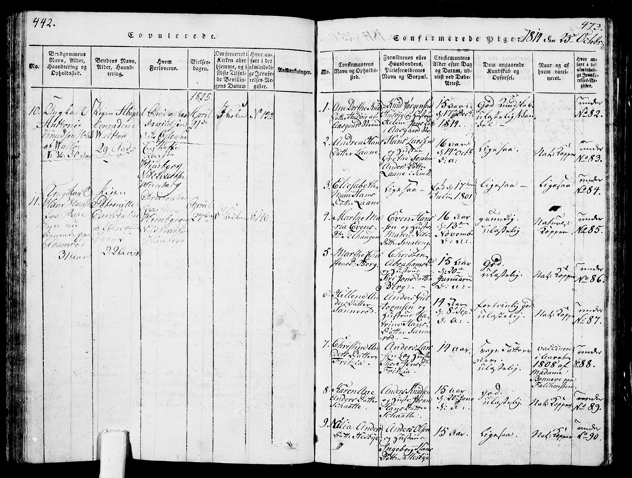 Sem kirkebøker, AV/SAKO-A-5/G/Ga/L0001: Klokkerbok nr. I 1, 1814-1825, s. 442-443