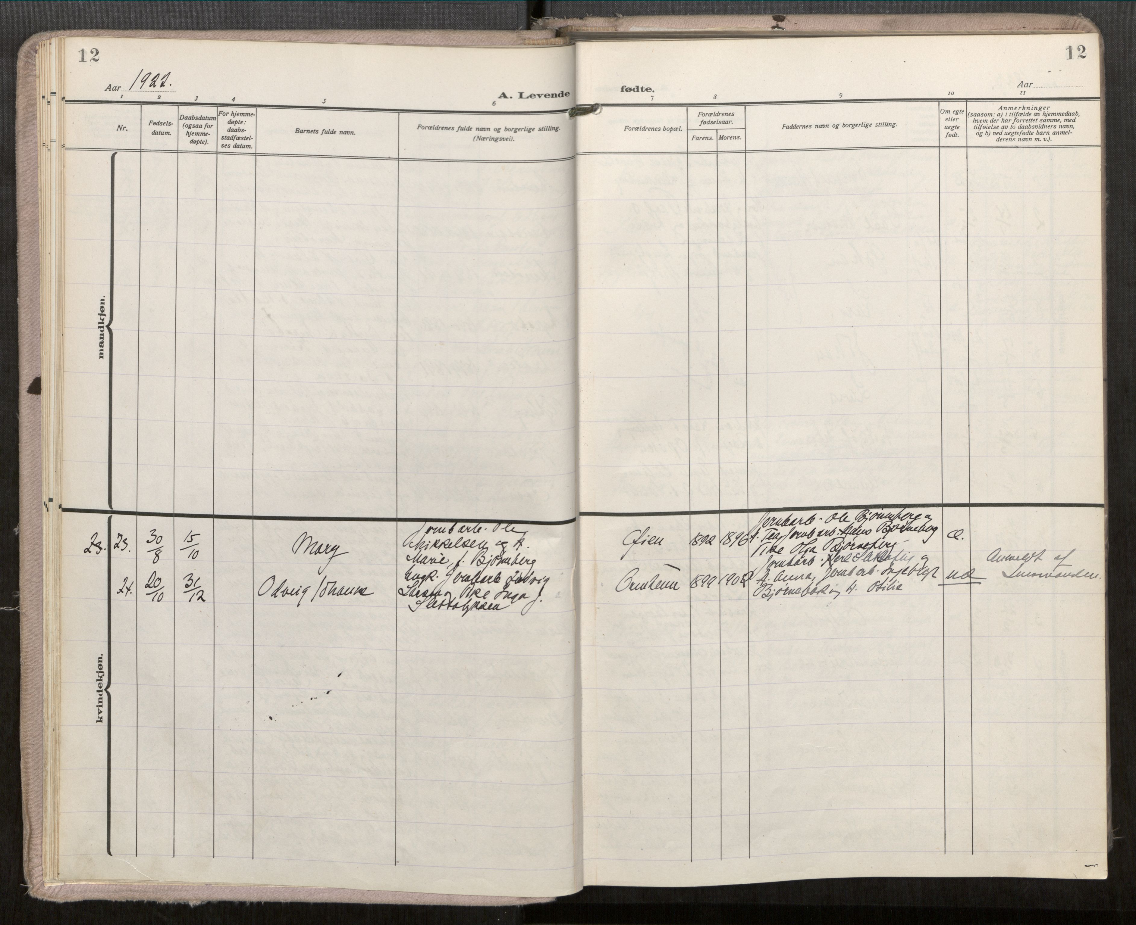 Ministerialprotokoller, klokkerbøker og fødselsregistre - Møre og Romsdal, SAT/A-1454/546/L0601: Ministerialbok nr. 546A04, 1919-1956, s. 12