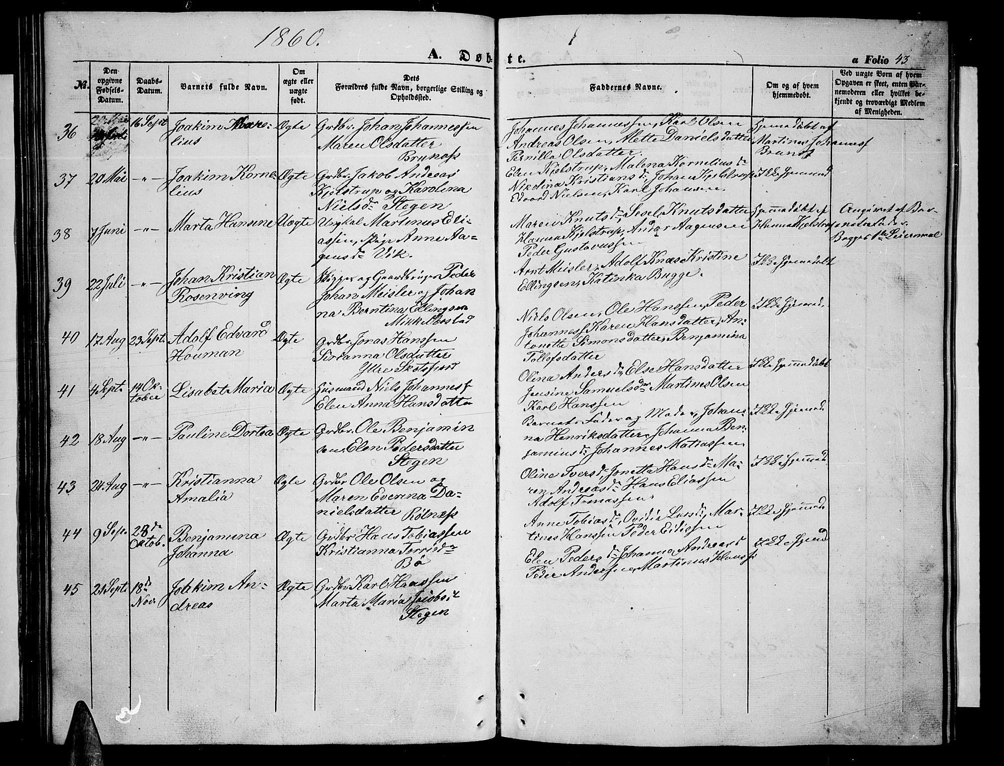 Ministerialprotokoller, klokkerbøker og fødselsregistre - Nordland, AV/SAT-A-1459/855/L0814: Klokkerbok nr. 855C03, 1851-1864, s. 43