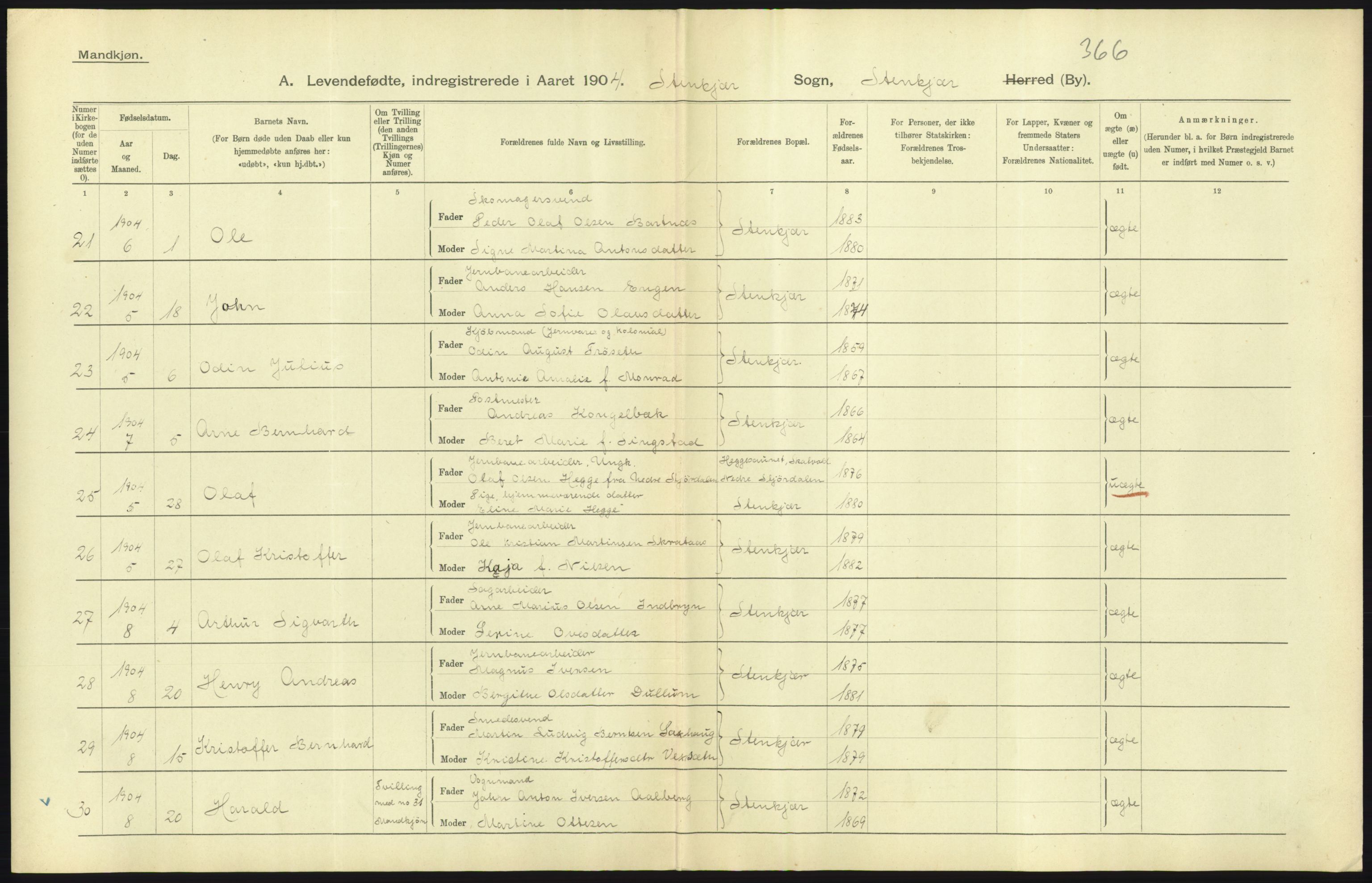 Statistisk sentralbyrå, Sosiodemografiske emner, Befolkning, AV/RA-S-2228/D/Df/Dfa/Dfab/L0019: Nordre Trondhjems amt: Fødte, gifte, døde, 1904, s. 13