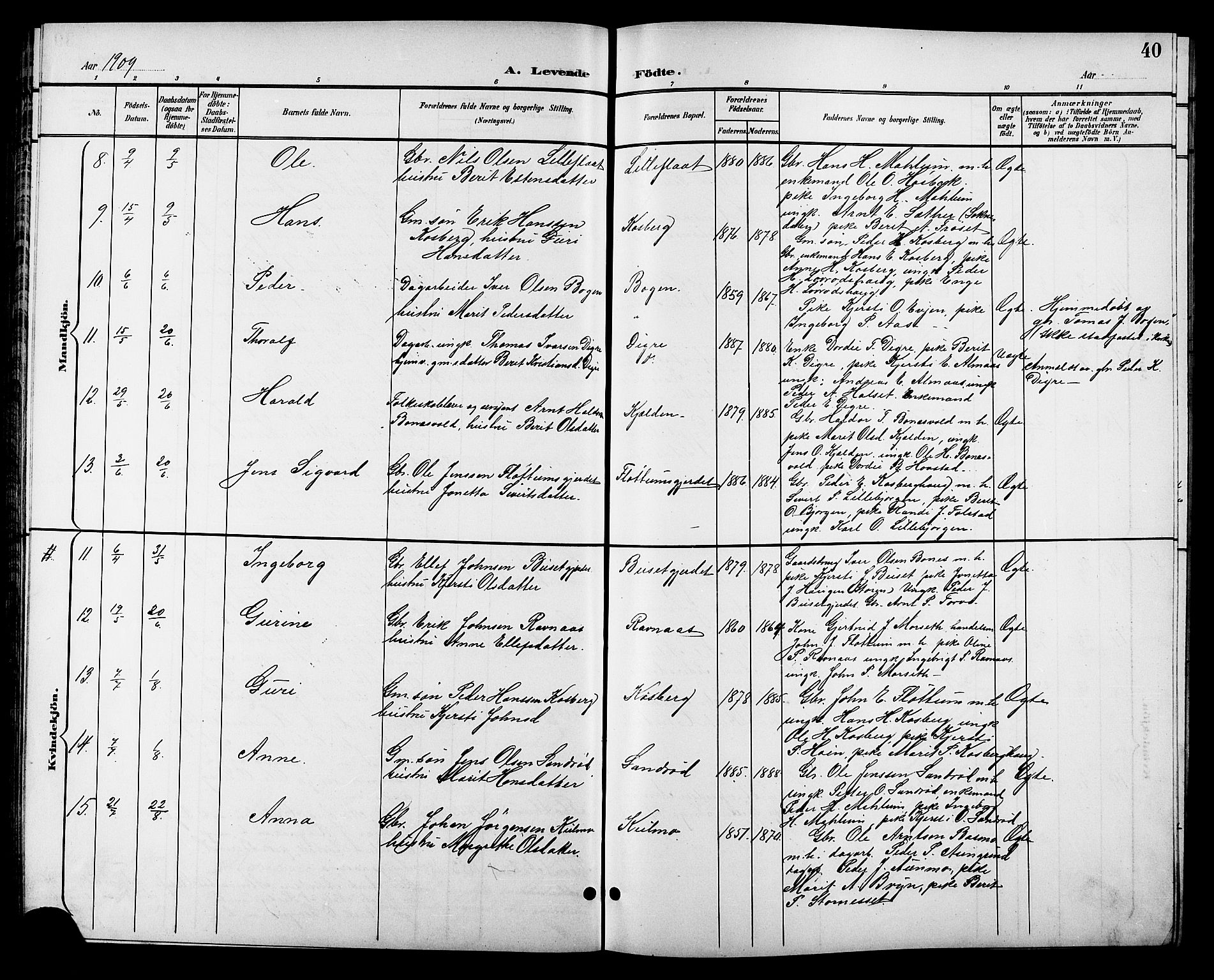 Ministerialprotokoller, klokkerbøker og fødselsregistre - Sør-Trøndelag, SAT/A-1456/688/L1029: Klokkerbok nr. 688C04, 1899-1915, s. 40