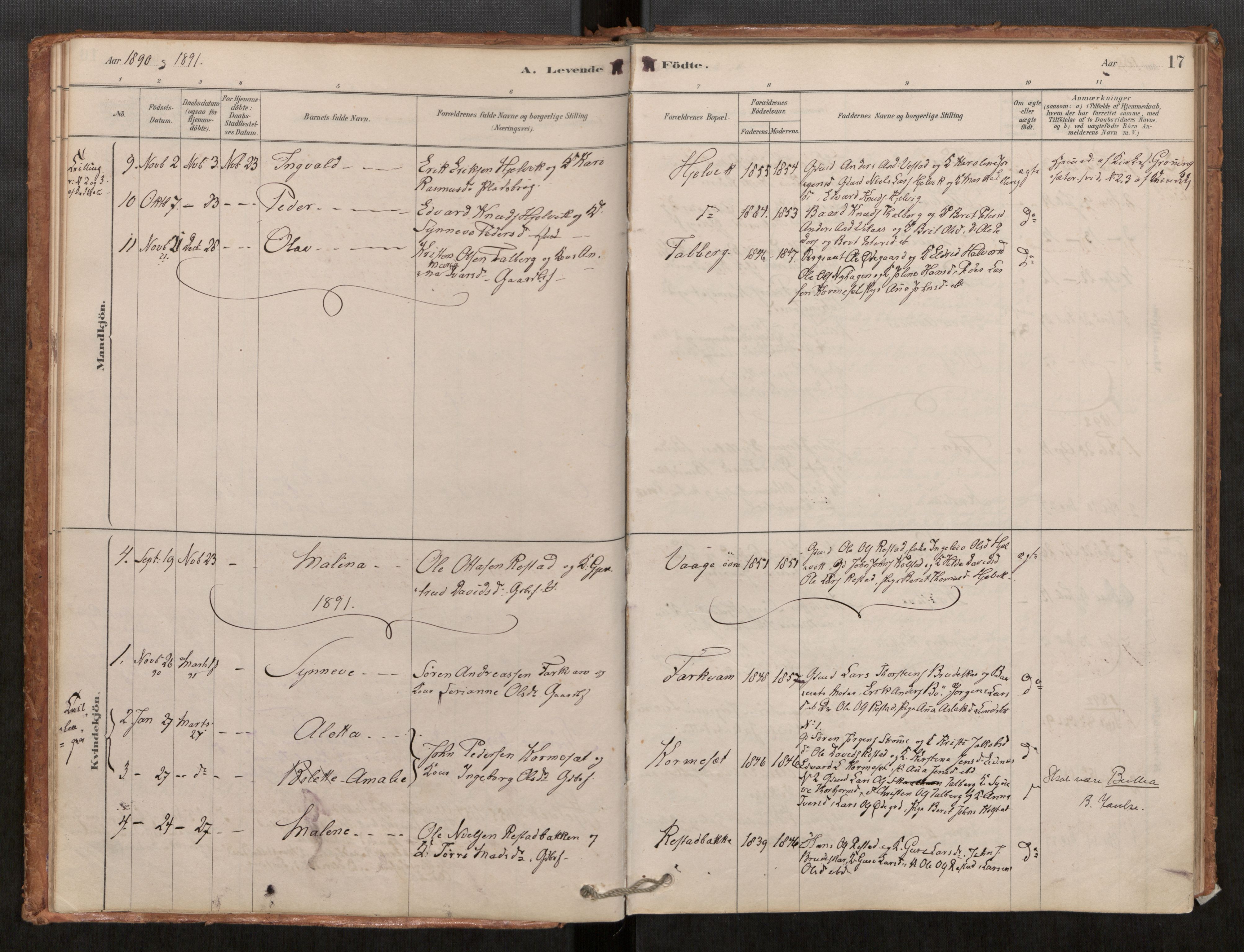 Ministerialprotokoller, klokkerbøker og fødselsregistre - Møre og Romsdal, SAT/A-1454/550/L0621: Ministerialbok nr. 550A01, 1878-1915, s. 17