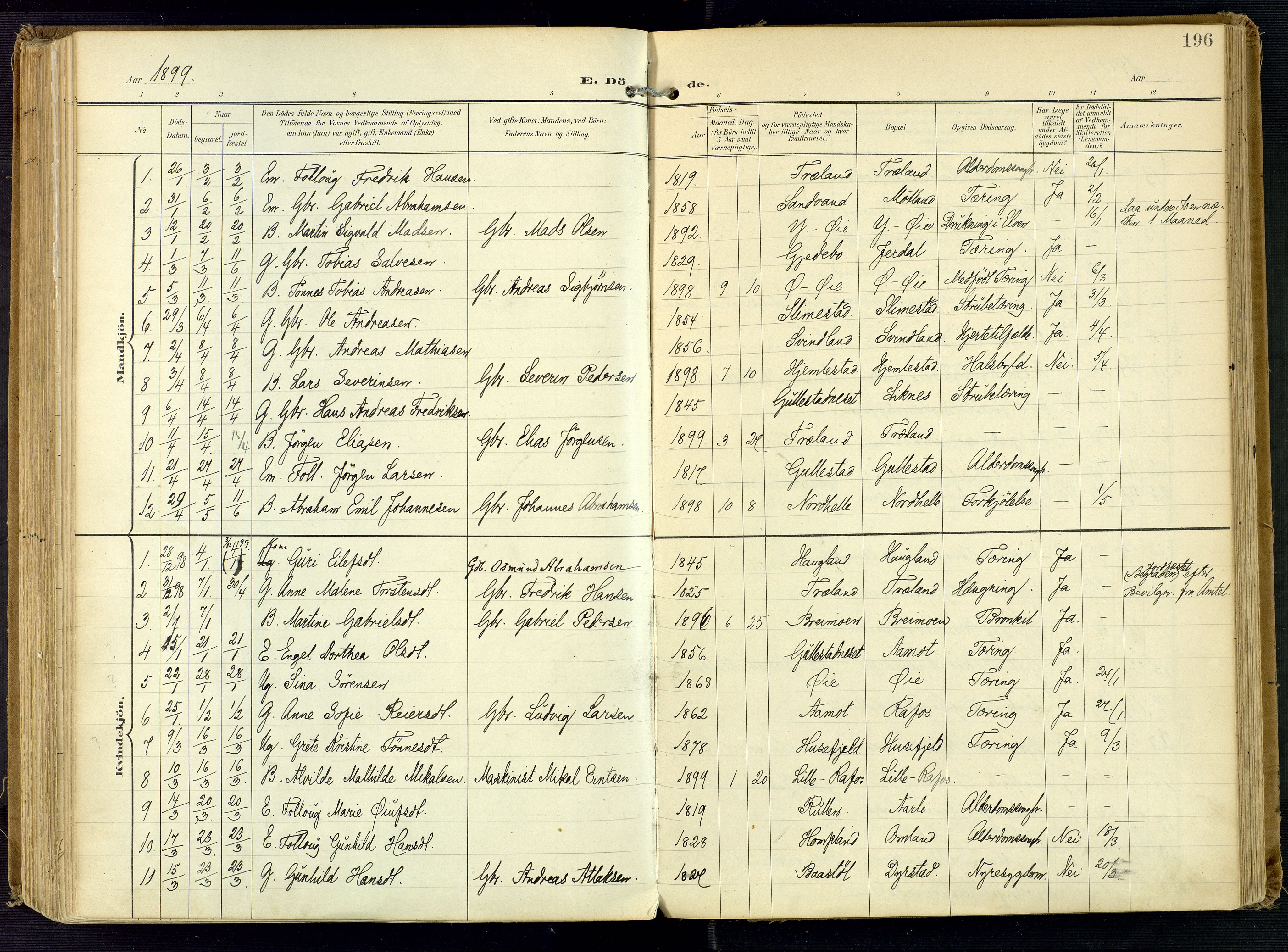 Kvinesdal sokneprestkontor, SAK/1111-0026/F/Fa/Fab/L0009: Ministerialbok nr. A 9, 1898-1915, s. 196