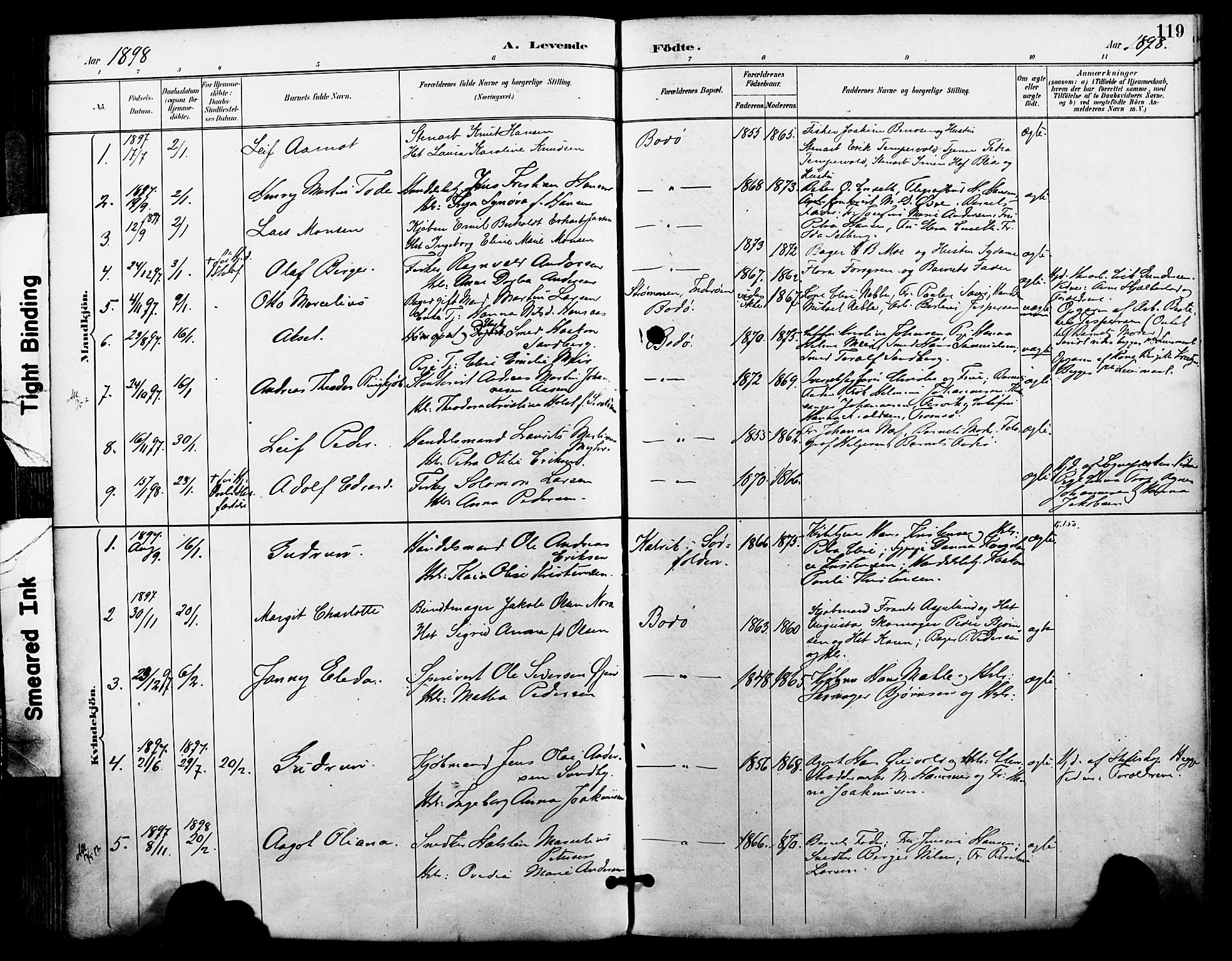 Ministerialprotokoller, klokkerbøker og fødselsregistre - Nordland, AV/SAT-A-1459/801/L0010: Ministerialbok nr. 801A10, 1888-1899, s. 119