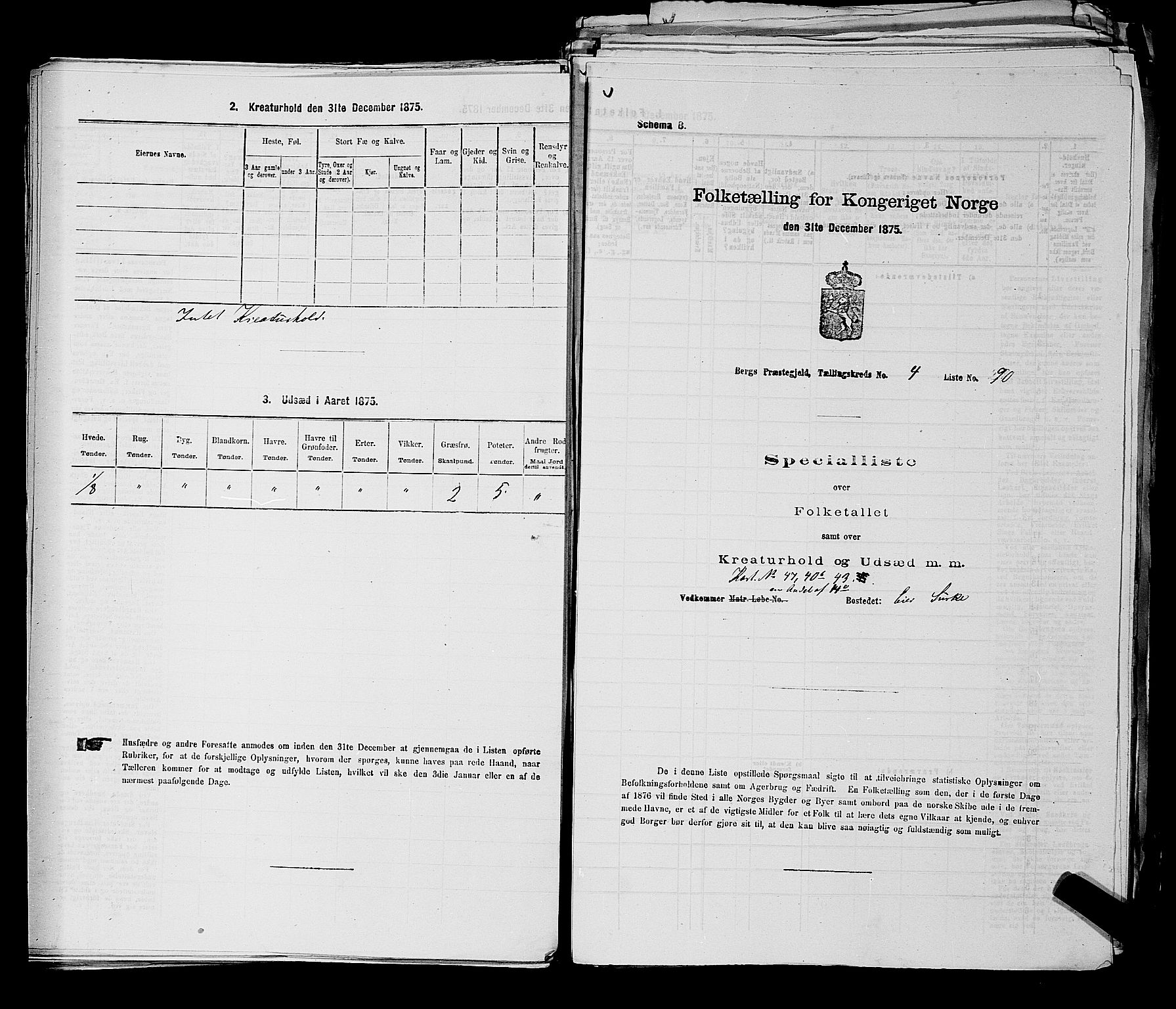 RA, Folketelling 1875 for 0116P Berg prestegjeld, 1875, s. 498