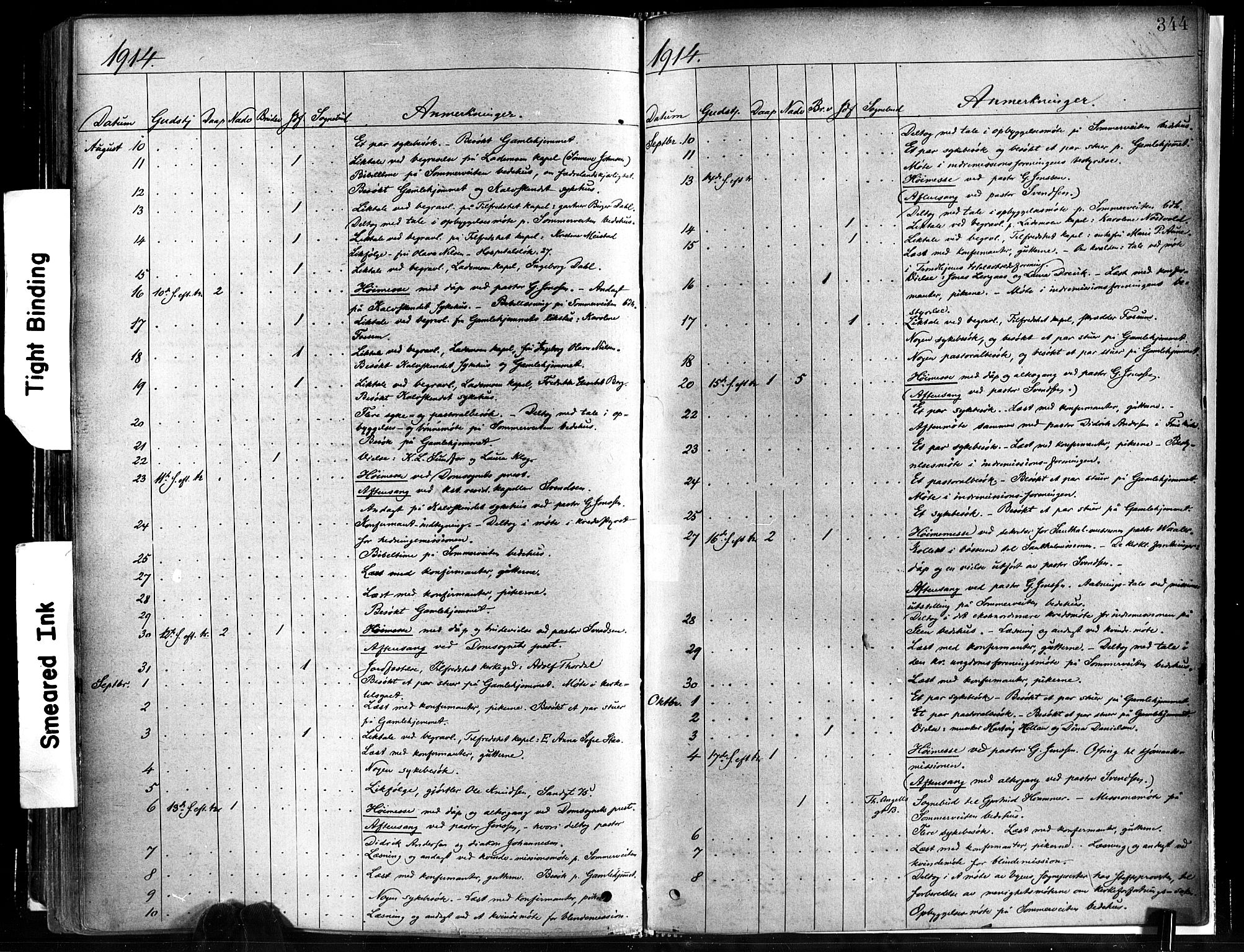 Ministerialprotokoller, klokkerbøker og fødselsregistre - Sør-Trøndelag, SAT/A-1456/602/L0119: Ministerialbok nr. 602A17, 1880-1901, s. 344