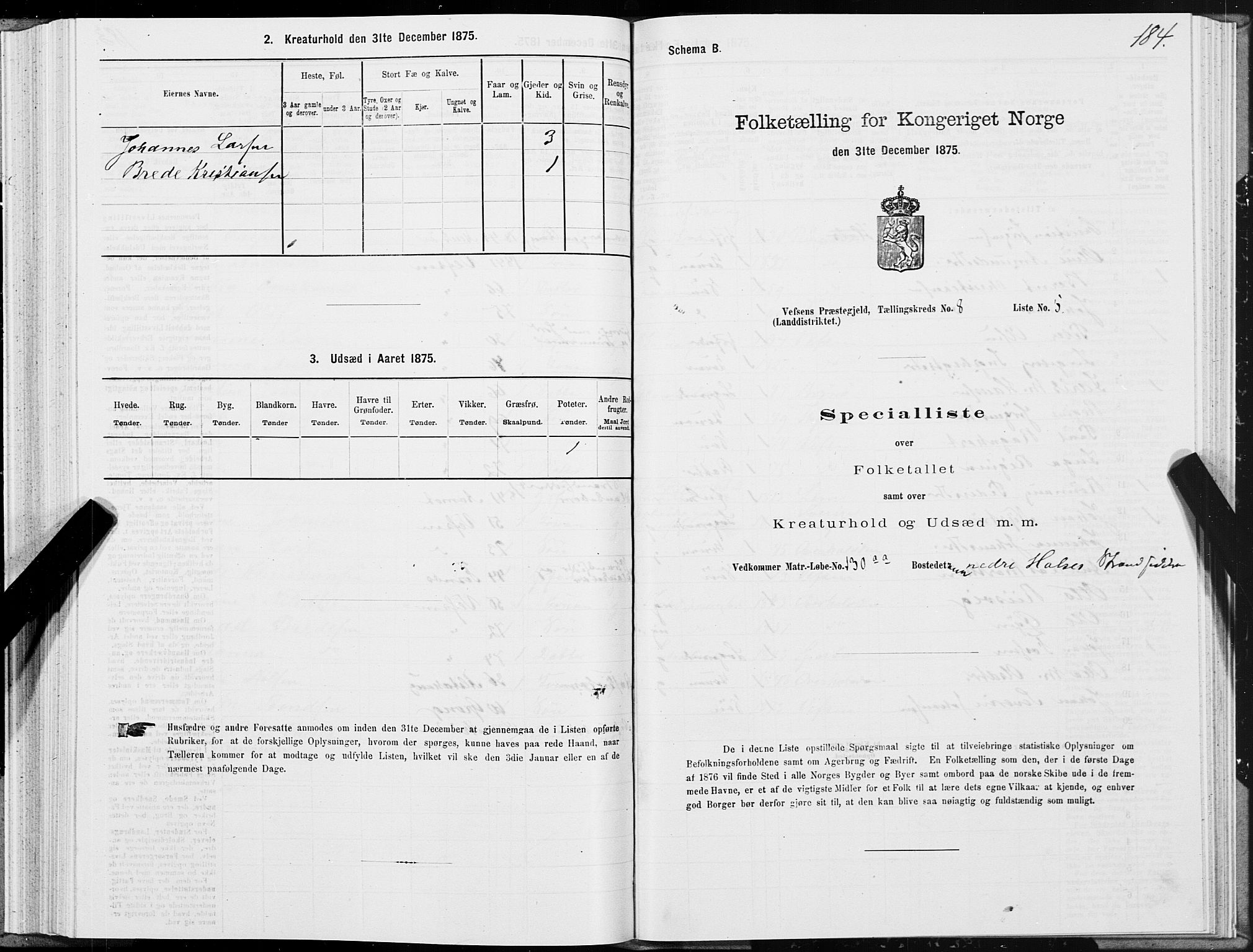 SAT, Folketelling 1875 for 1824L Vefsn prestegjeld, Vefsn sokn, 1875, s. 2184