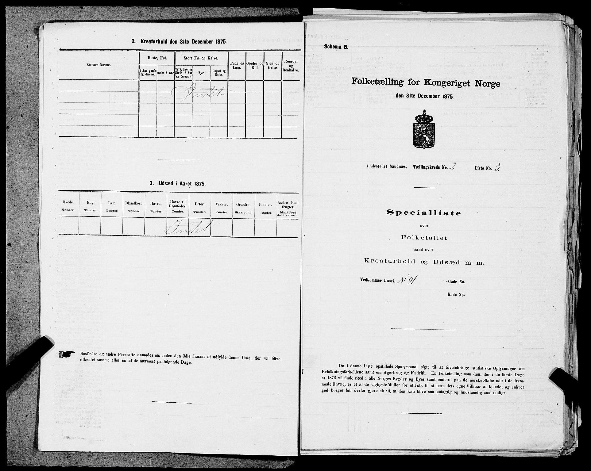 SAST, Folketelling 1875 for 1102B Høyland prestegjeld, Sandnes ladested, 1875, s. 213