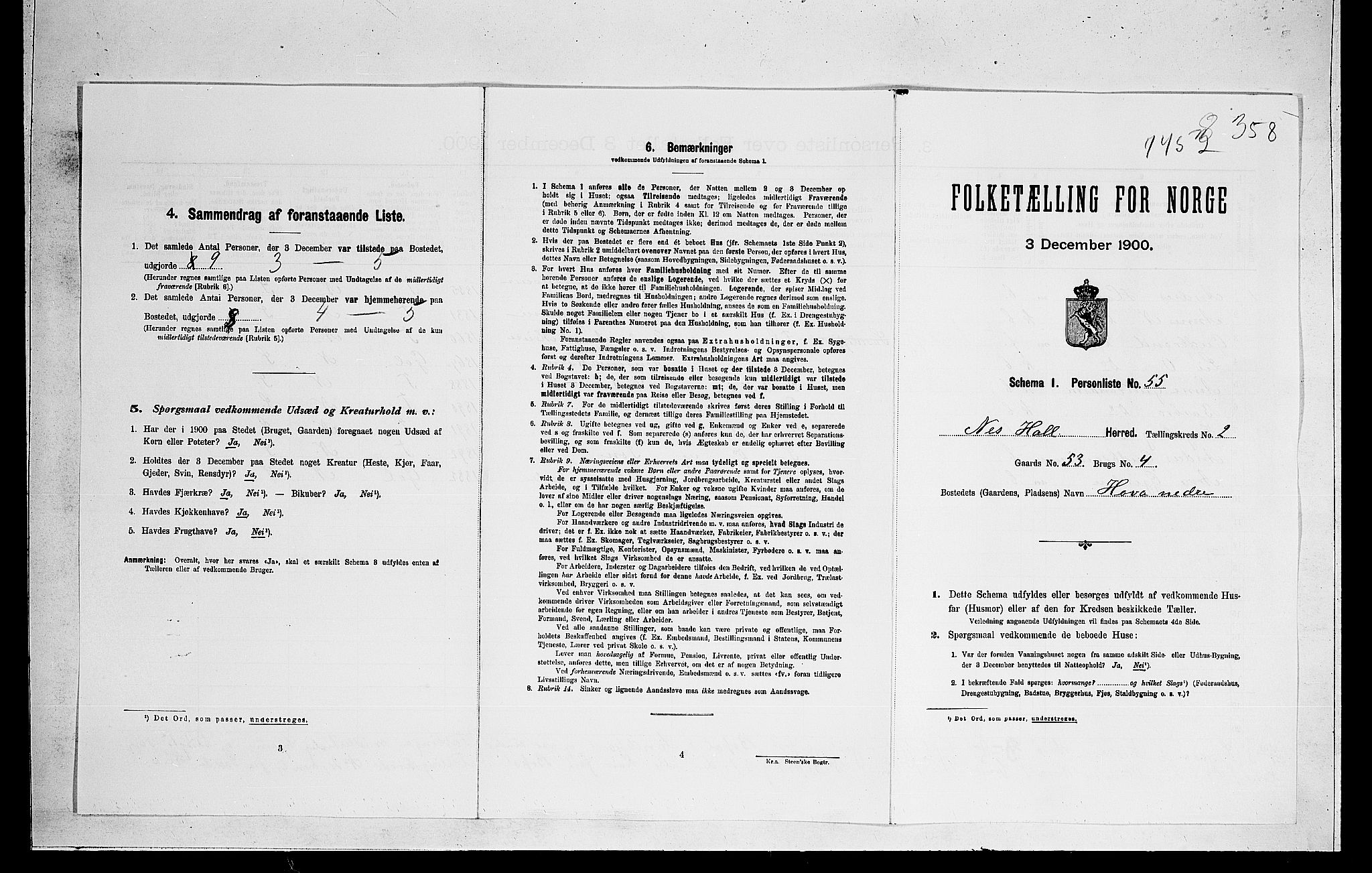 RA, Folketelling 1900 for 0616 Nes herred, 1900, s. 46