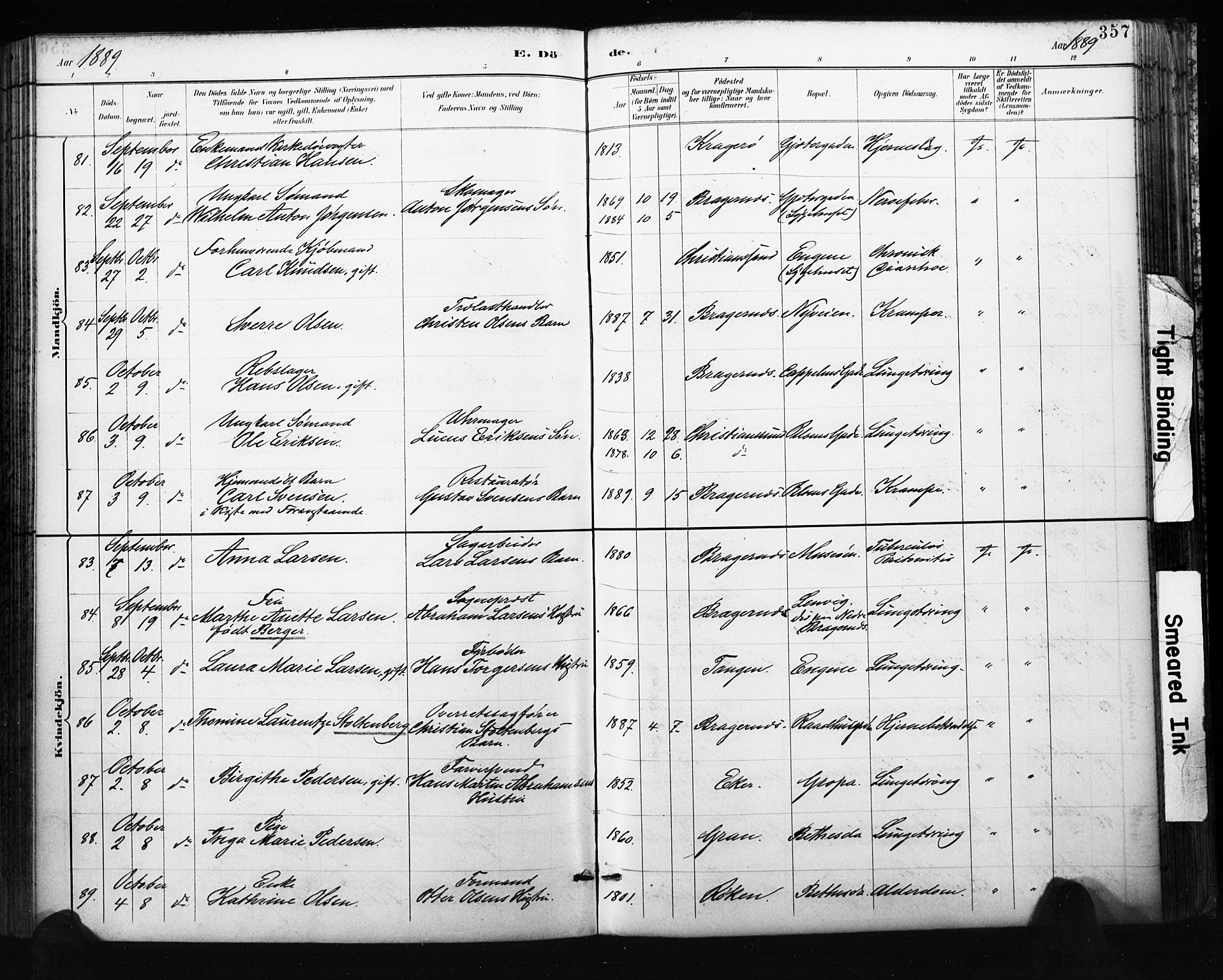 Bragernes kirkebøker, AV/SAKO-A-6/F/Fb/L0007: Ministerialbok nr. II 7, 1885-1893, s. 357