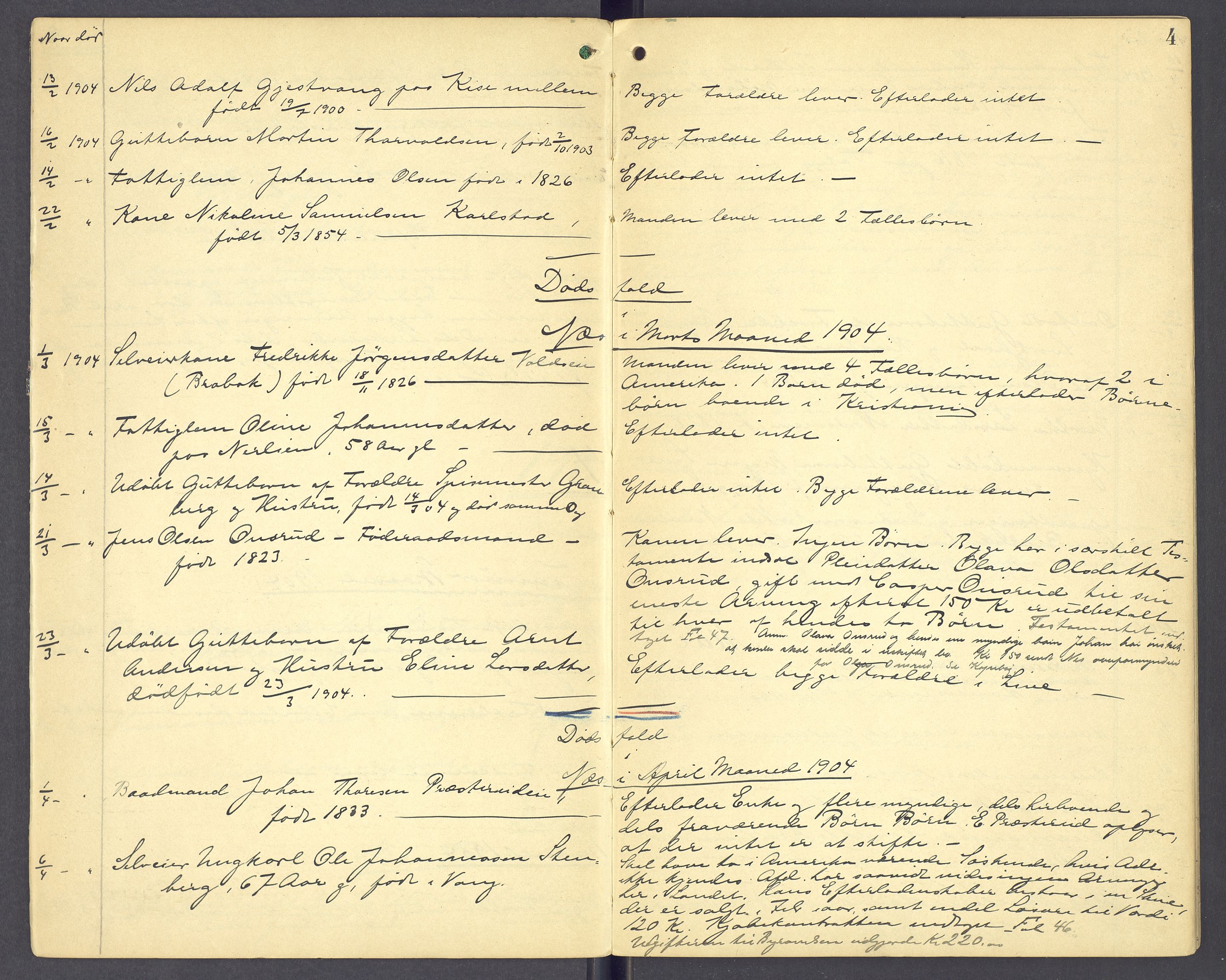 Nord-Hedmark sorenskriveri, AV/SAH-TING-012/J/Ji/L0005: Dødsfallsprotokoll - Nes, 1903-1910, s. 4