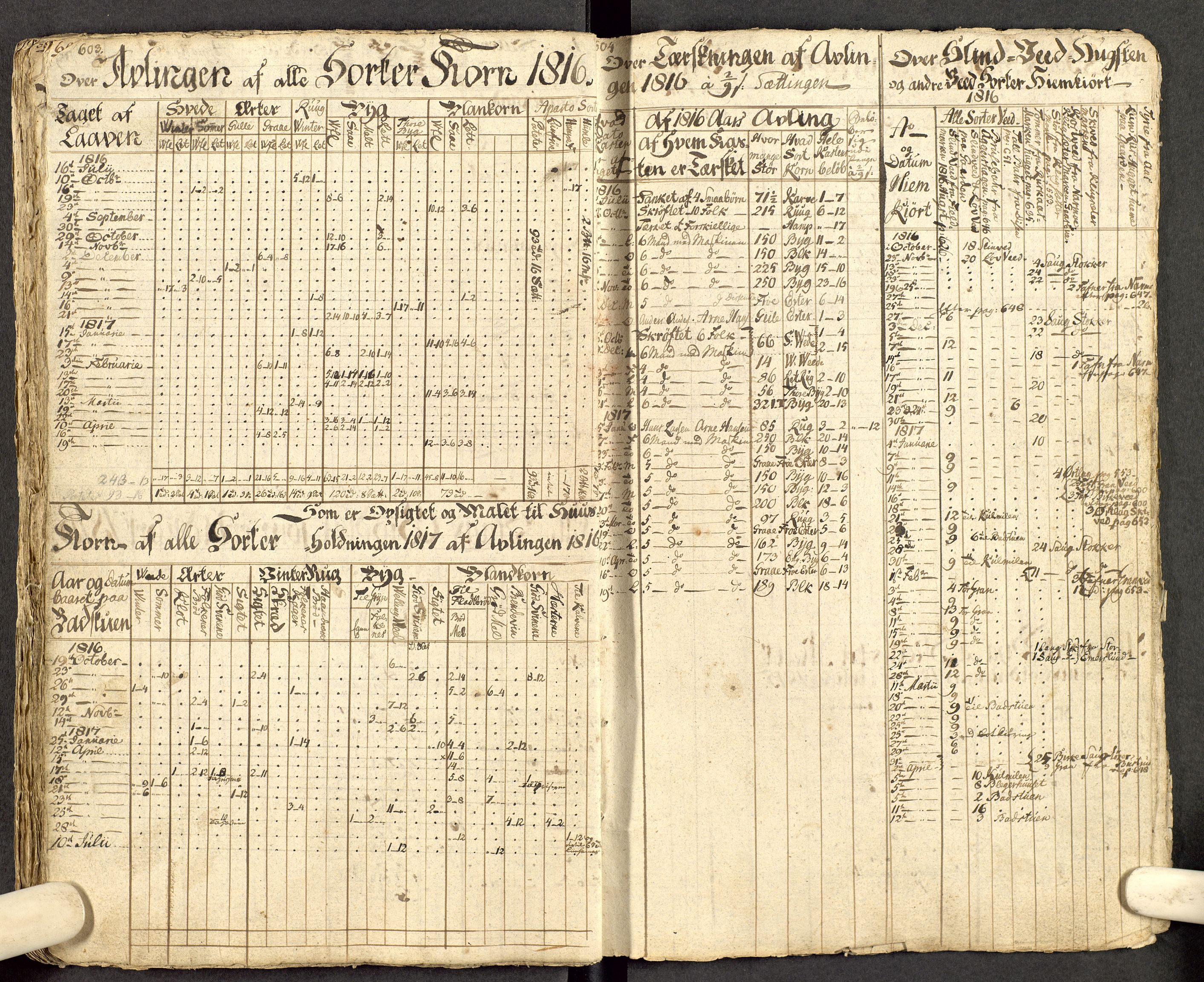 Åker i Vang, Hedmark, og familien Todderud, AV/SAH-ARK-010/G/Ga/L0004/0001: Dagbøker / Dagbok, 1812-1825, s. 49