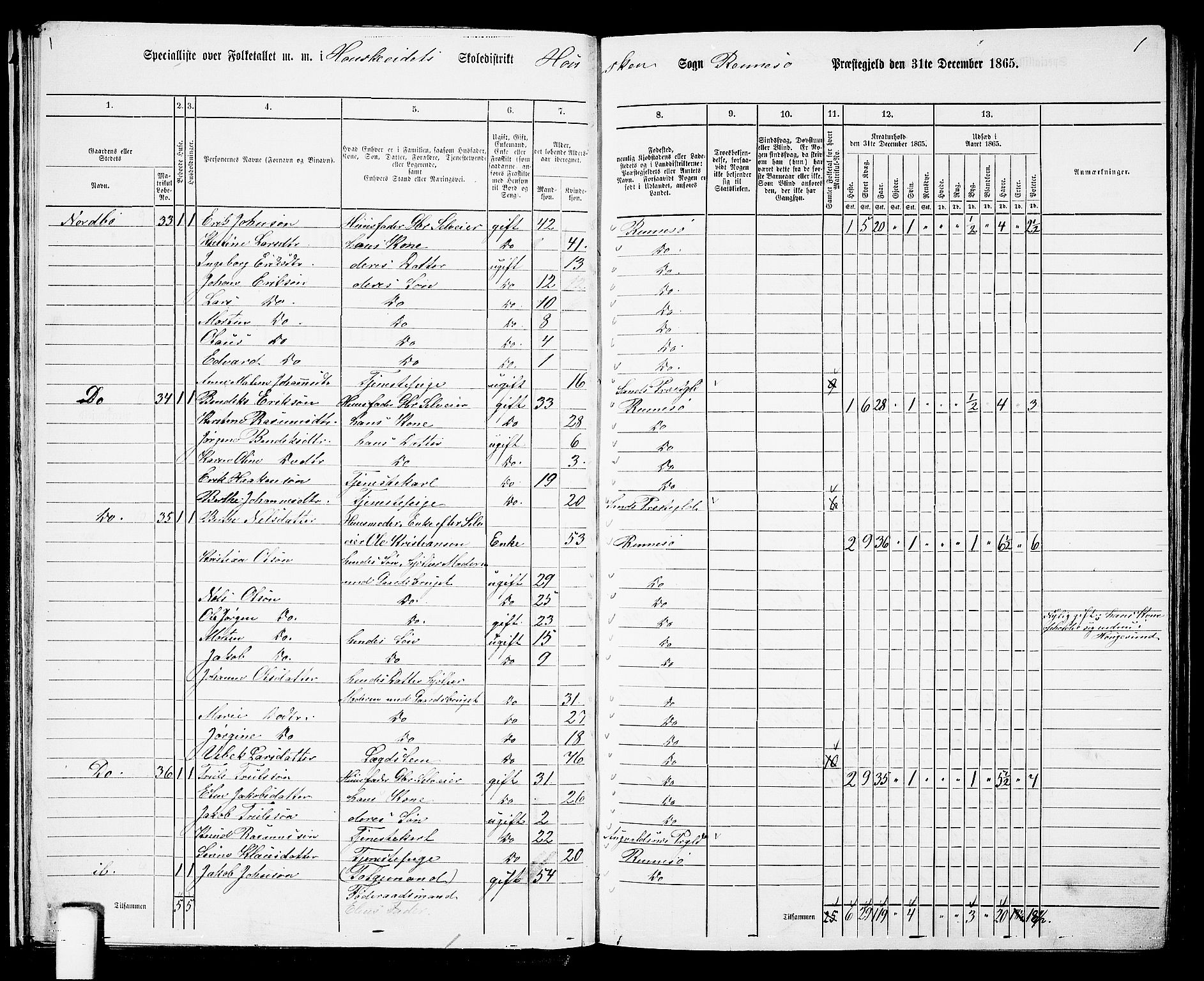 RA, Folketelling 1865 for 1142P Rennesøy prestegjeld, 1865, s. 24